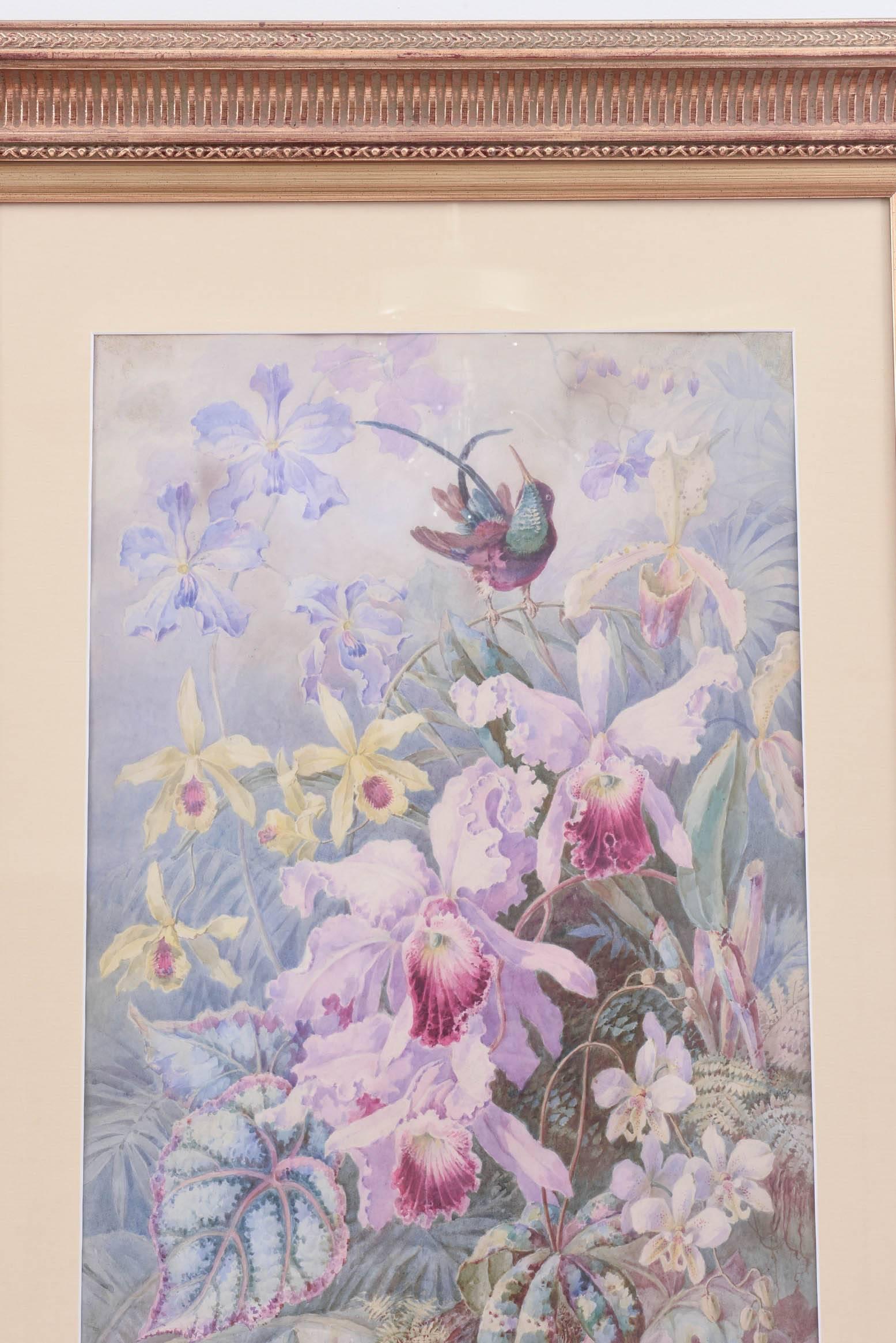 Hand-Crafted Exquisite Orchid & Hummingbird Watercolor by William Morley, Antique Oversize For Sale