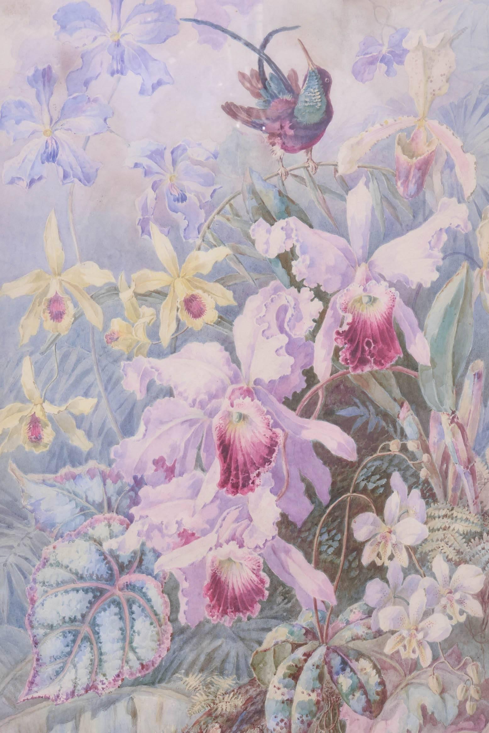 Exquisite Orchid & Hummingbird Watercolor by William Morley, Antique Oversize In Good Condition For Sale In West Palm Beach, FL