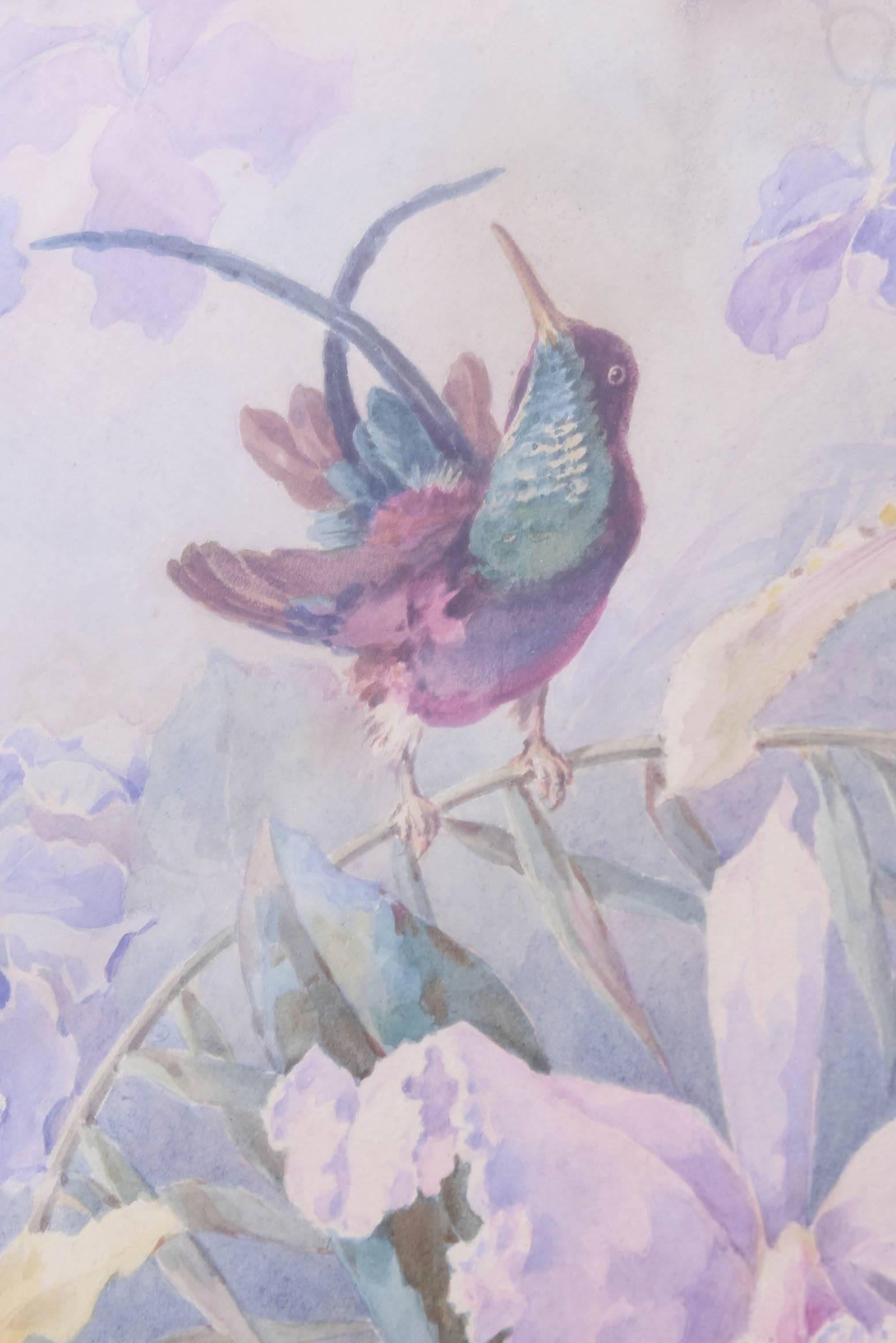 Early 20th Century Exquisite Orchid & Hummingbird Watercolor by William Morley, Antique Oversize For Sale