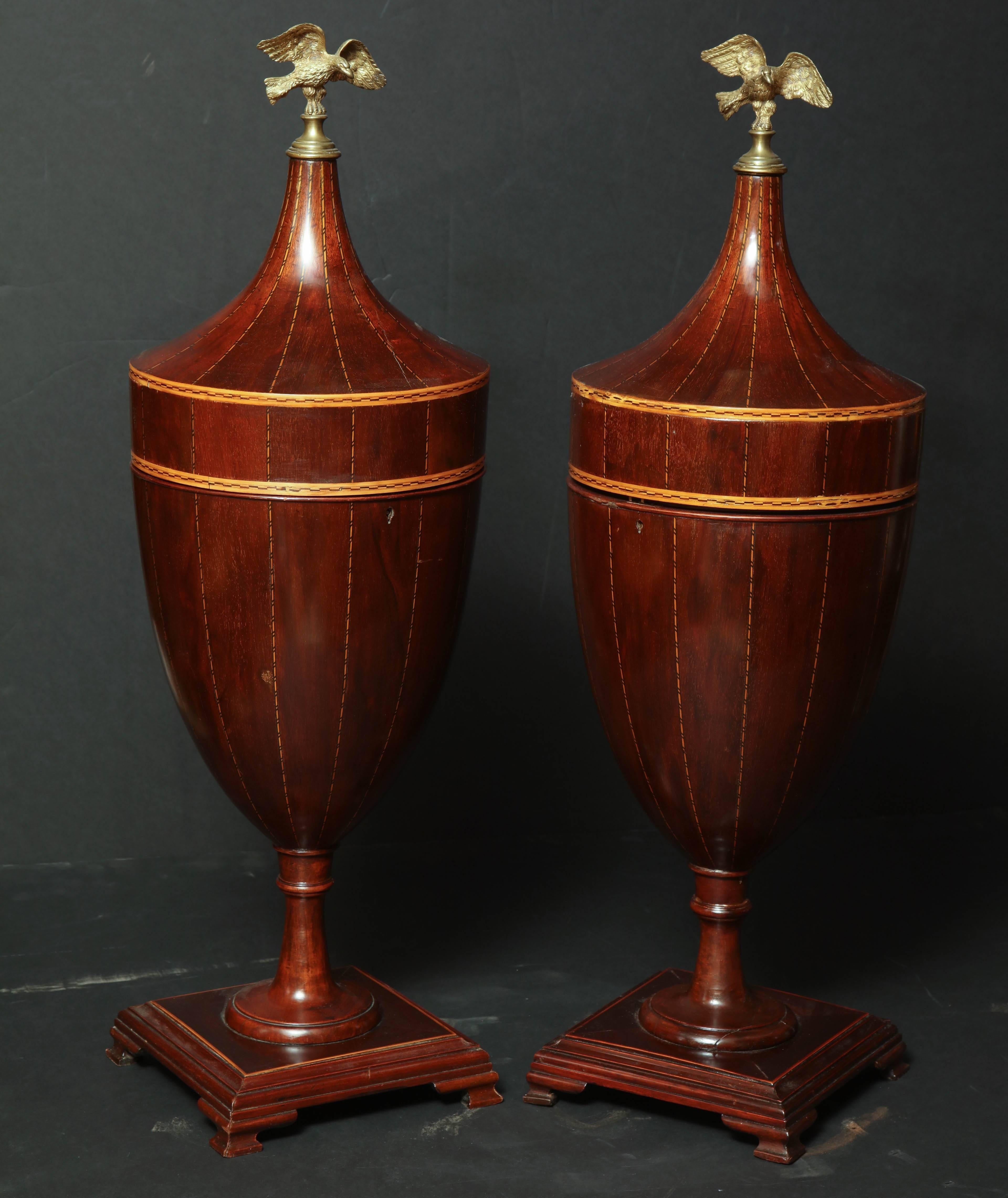 Pair of mahogany neoclassical satinwood inlaid urns with brass eagle finials.