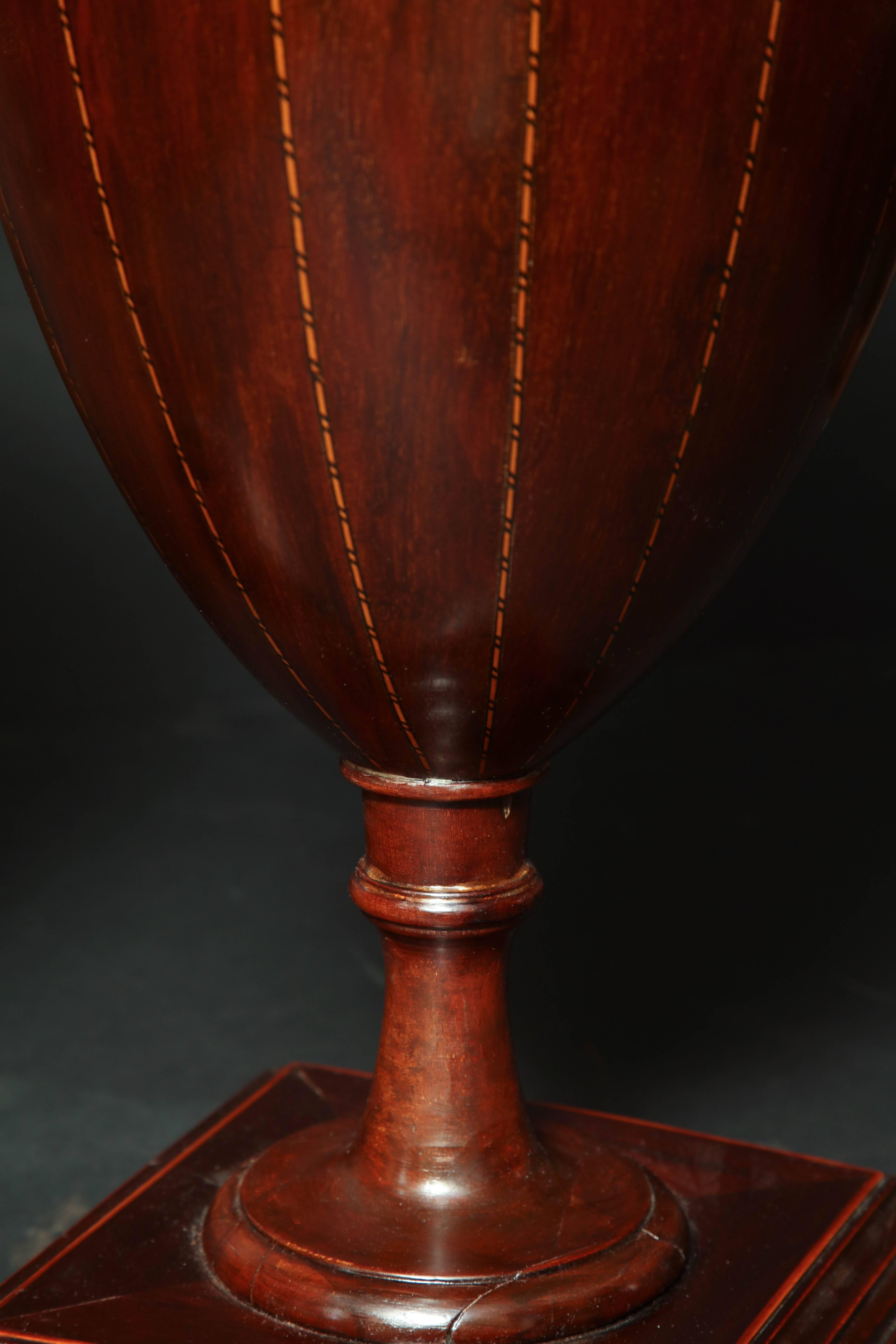 Pair of Classical Mahogany Urns 3