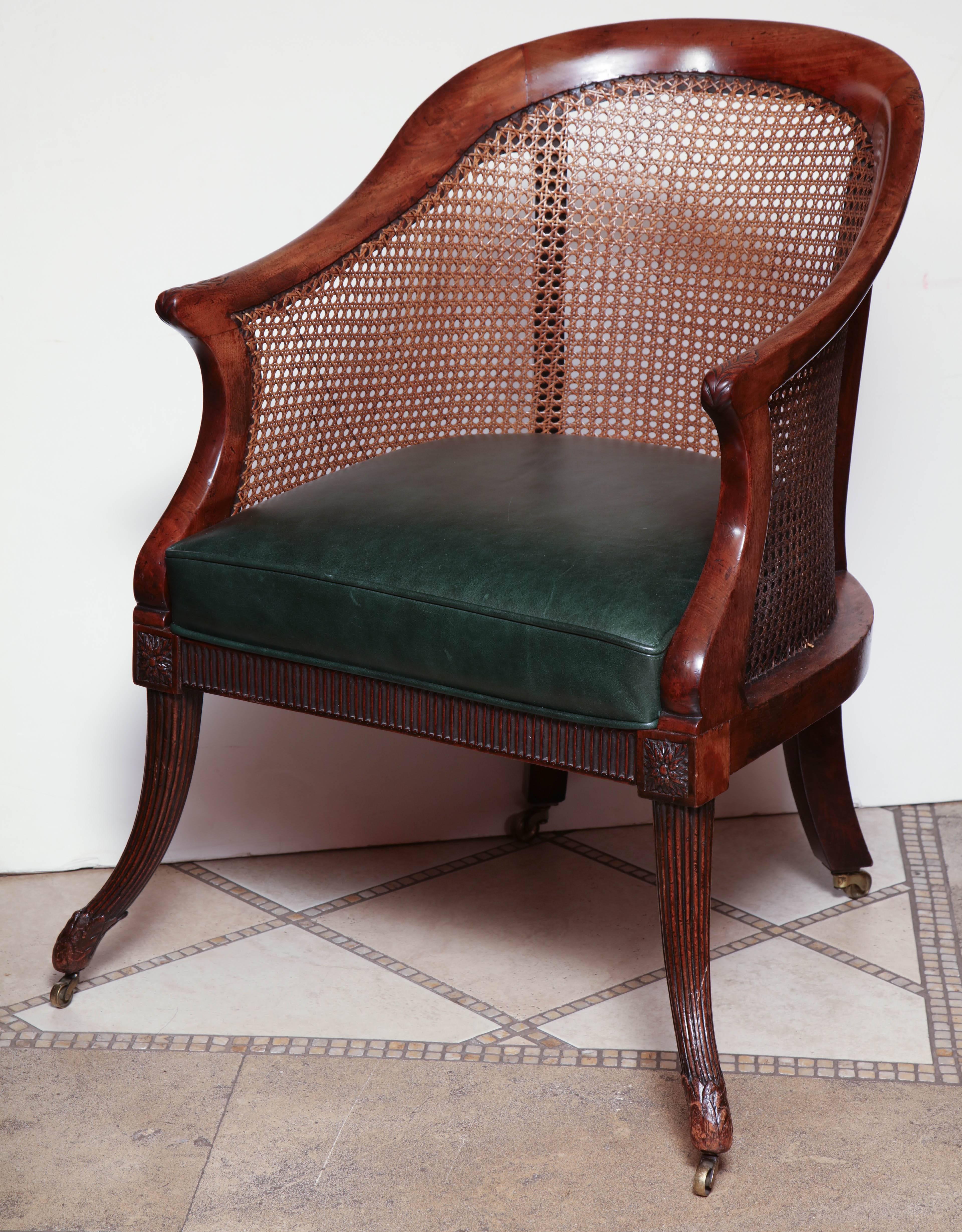A fine Regency carved tub back Gondola armchair with caned curved back, leather upholstered cushion seat, reeded rail and out-swept legs on brass caster feet. 