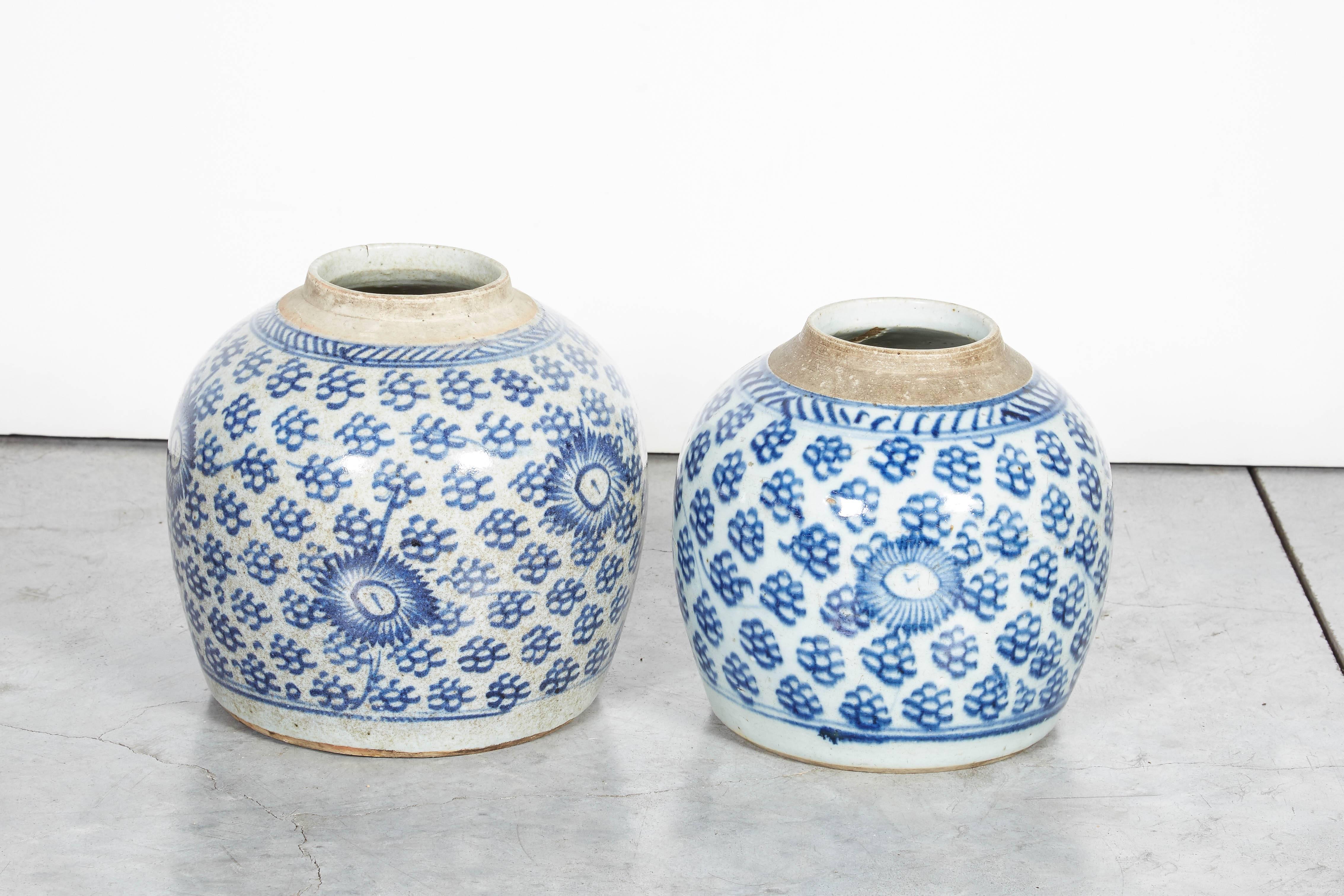 Zwei schön und subtil dekorierte antike chinesische Porzellan-Ingwerdosen. Diese Stücke sind ein Blickfang auf jedem Regal oder Tisch. Aus der Provinz Shanxi:: um 1850. 
CR517. 

Nur noch ein Stück übrig.