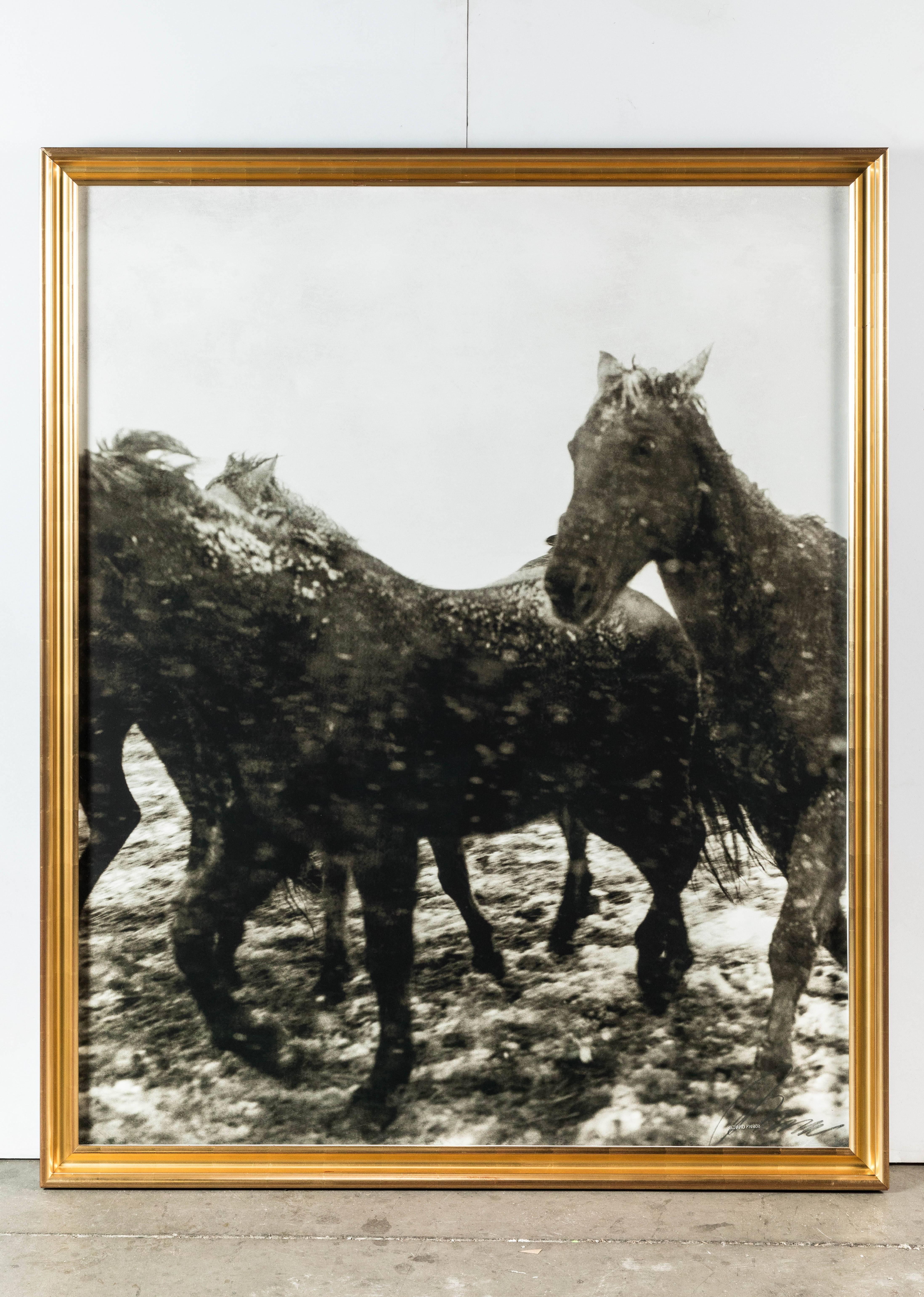 Triptych of horses in the snow, Montana, 1999 by Richard Phibbs
Archival fine art pigment print
Measure: 43.3 inches x 54 inches
Antique Distress B&W Vertical
Edition 2 of 25
Each print is signed and embossed.
 