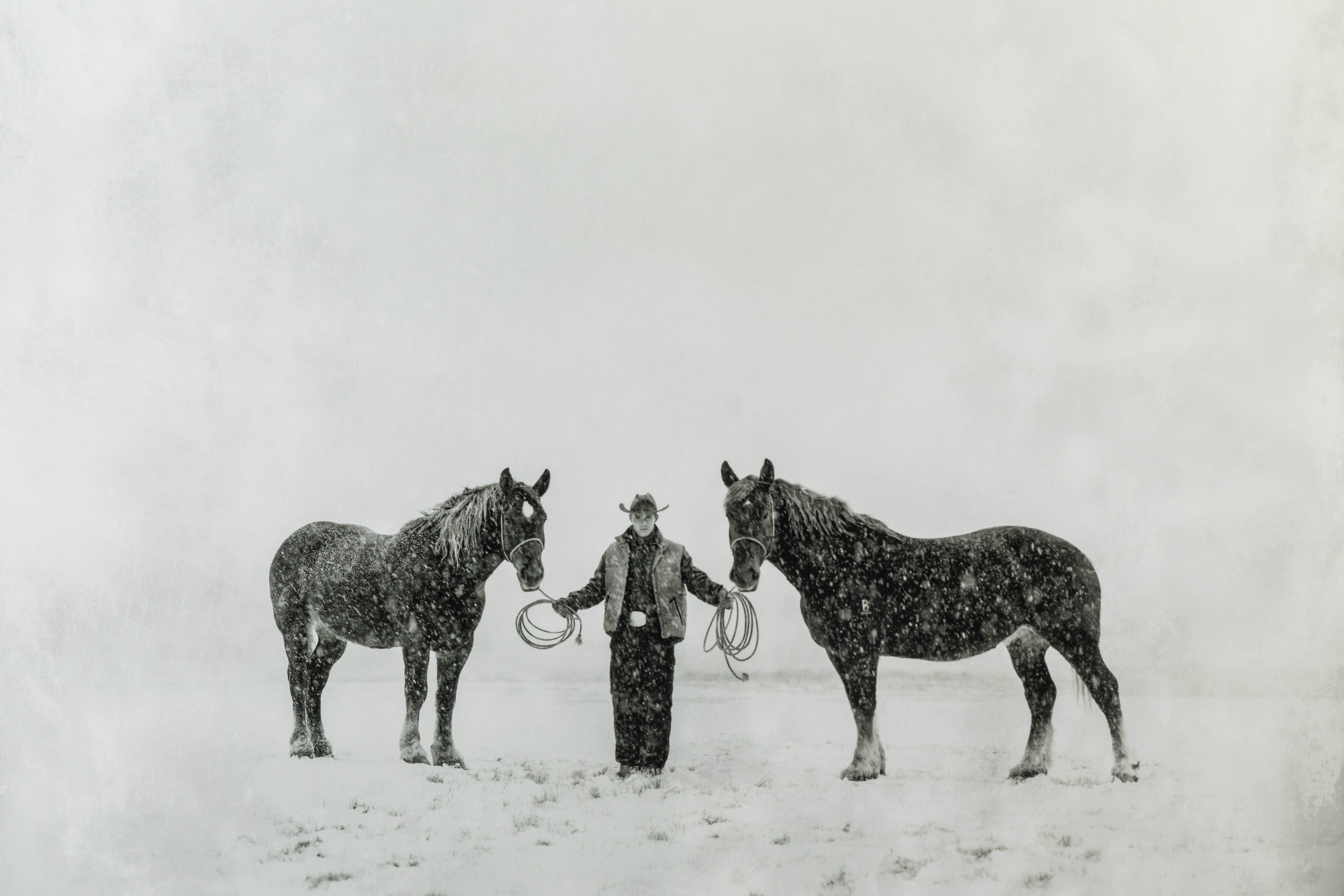 Cowboy and Two Horses Montana, 1999 by Richard Phibbs
Archival Fine Art Pigment Print
52 inches x 42 inches
Edition 2 of 25
Signed and Embossed lower right

Photographer Richard Phibbs brings an artist's eye to every photo he takes—in magazines,