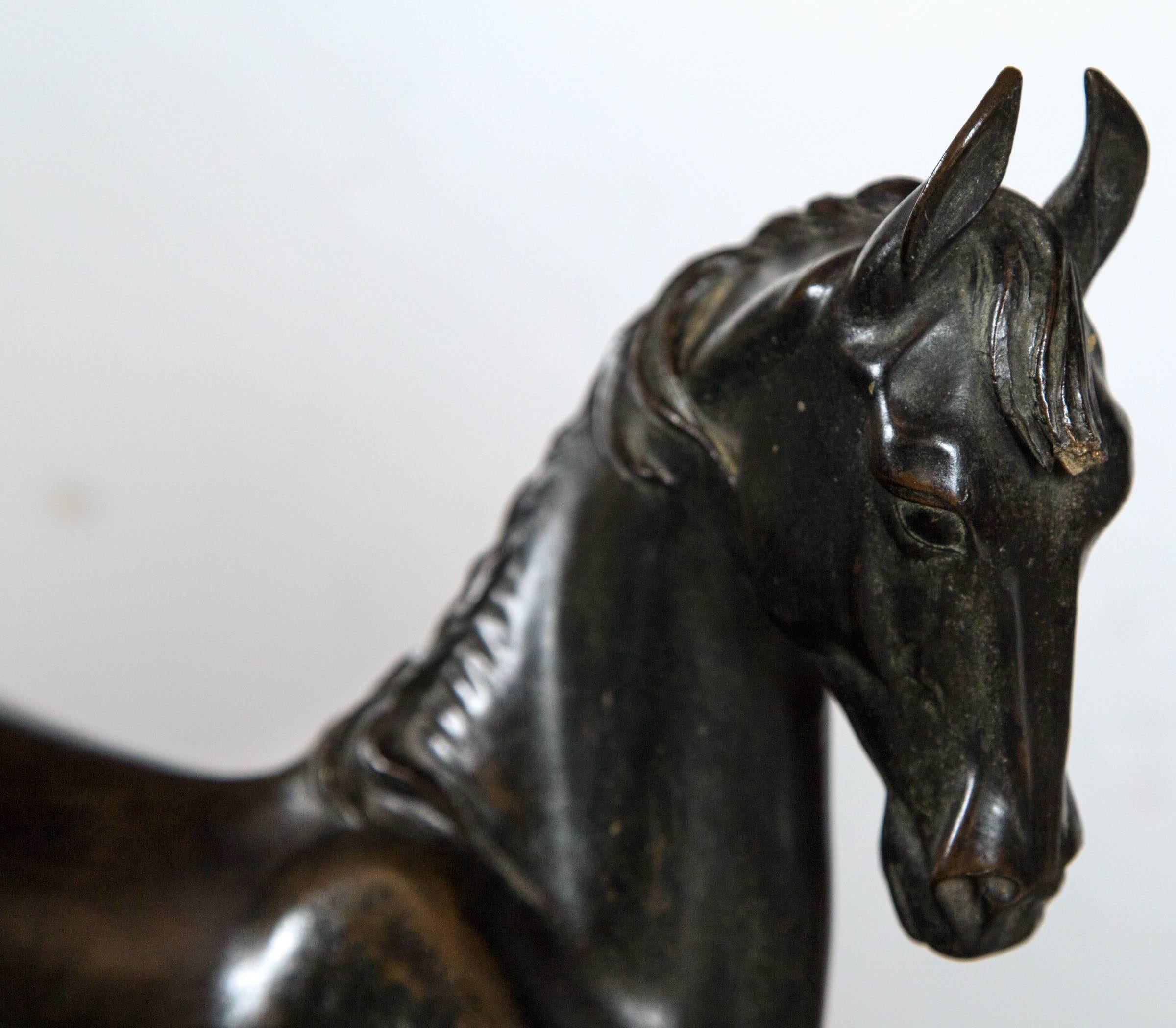 Italian Patinated Bronze Horse For Sale