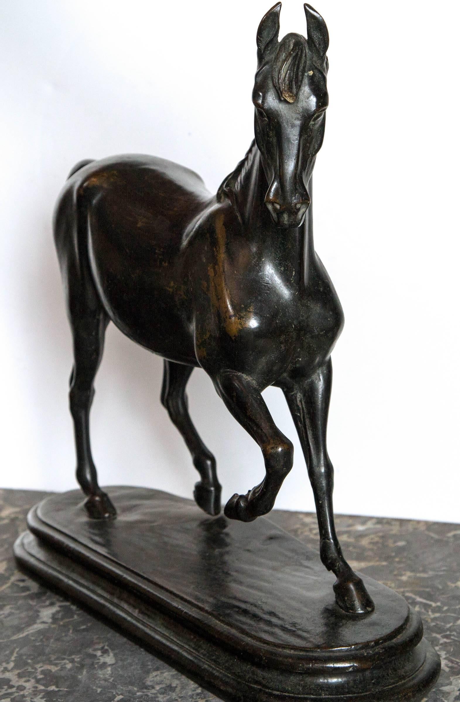 Patinated Bronze Horse For Sale 1