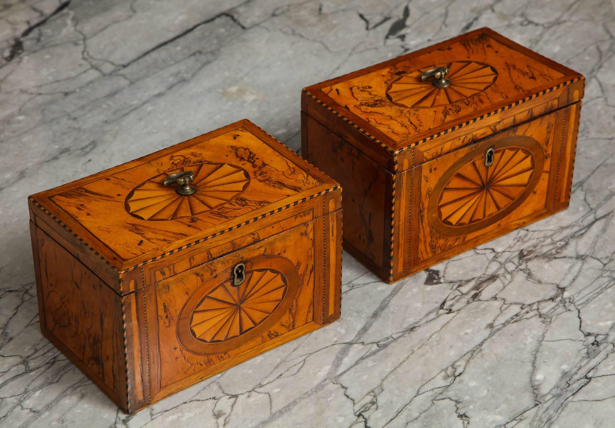 Pair of Georgian Boxes 2