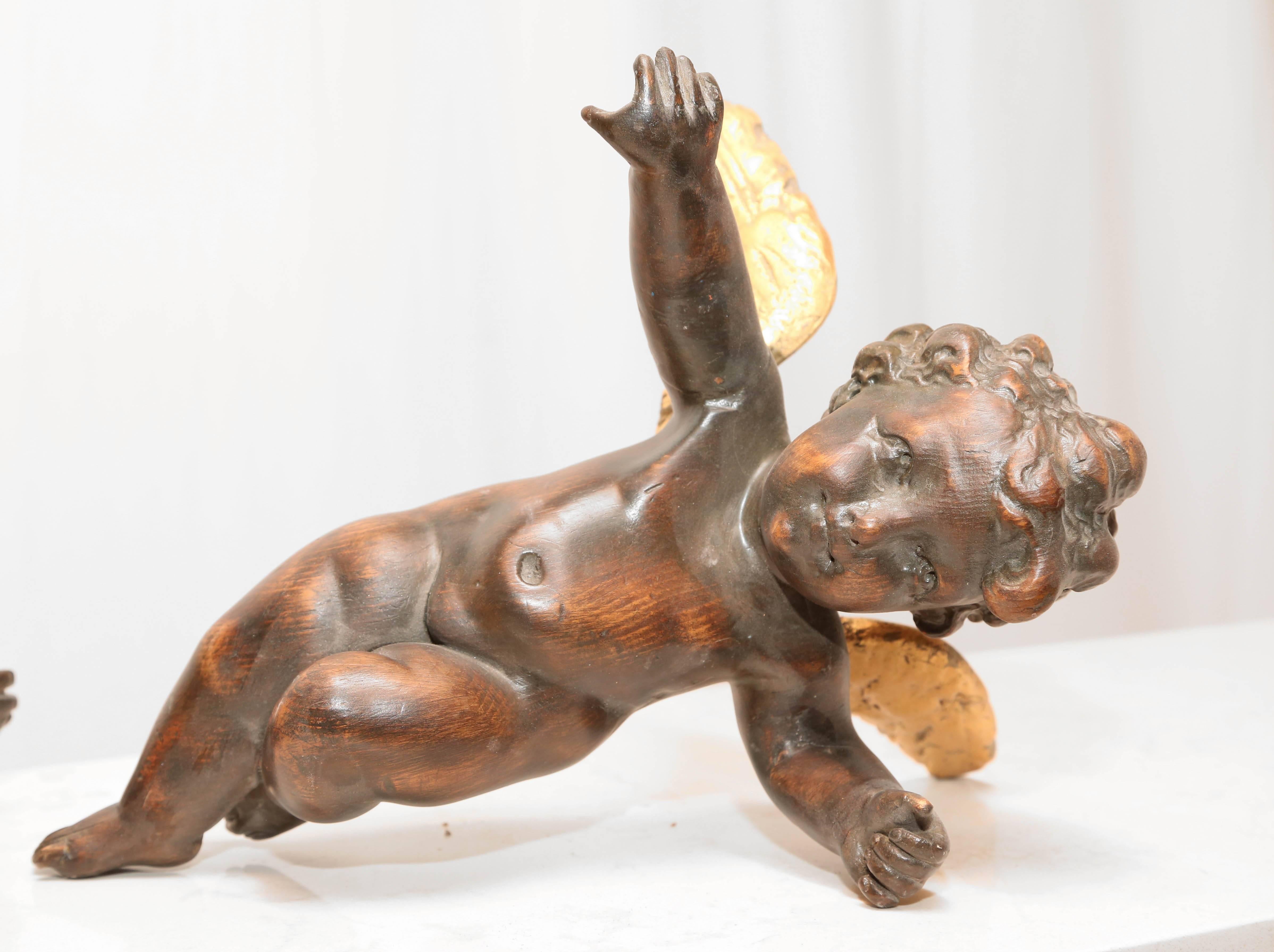 
Pair of 19th century carved European Putti. Carved from pine with a dark stain with gold gilt wings. Dimensions are 13