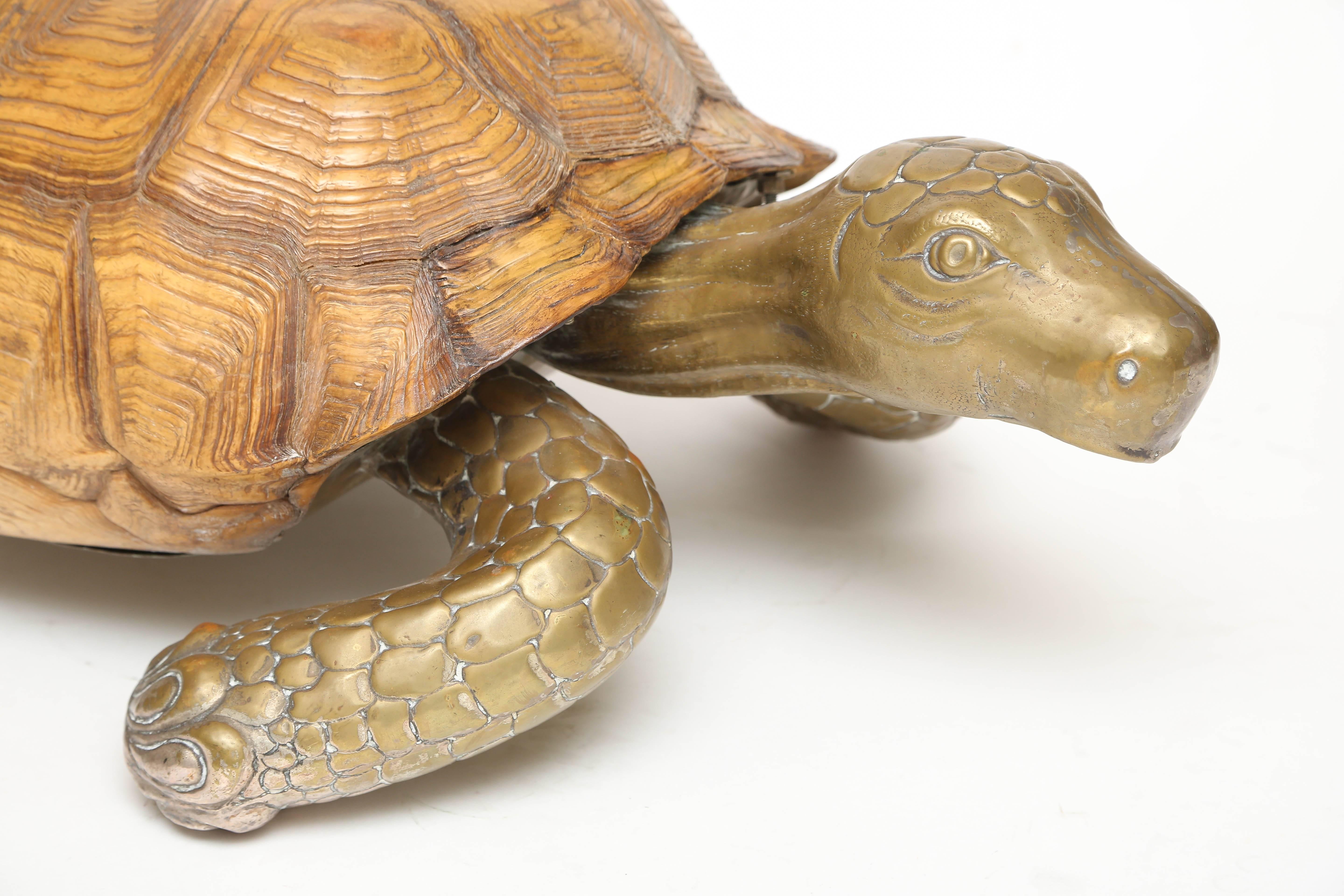 Large decorative tortoise with brass under belly, feet & head.