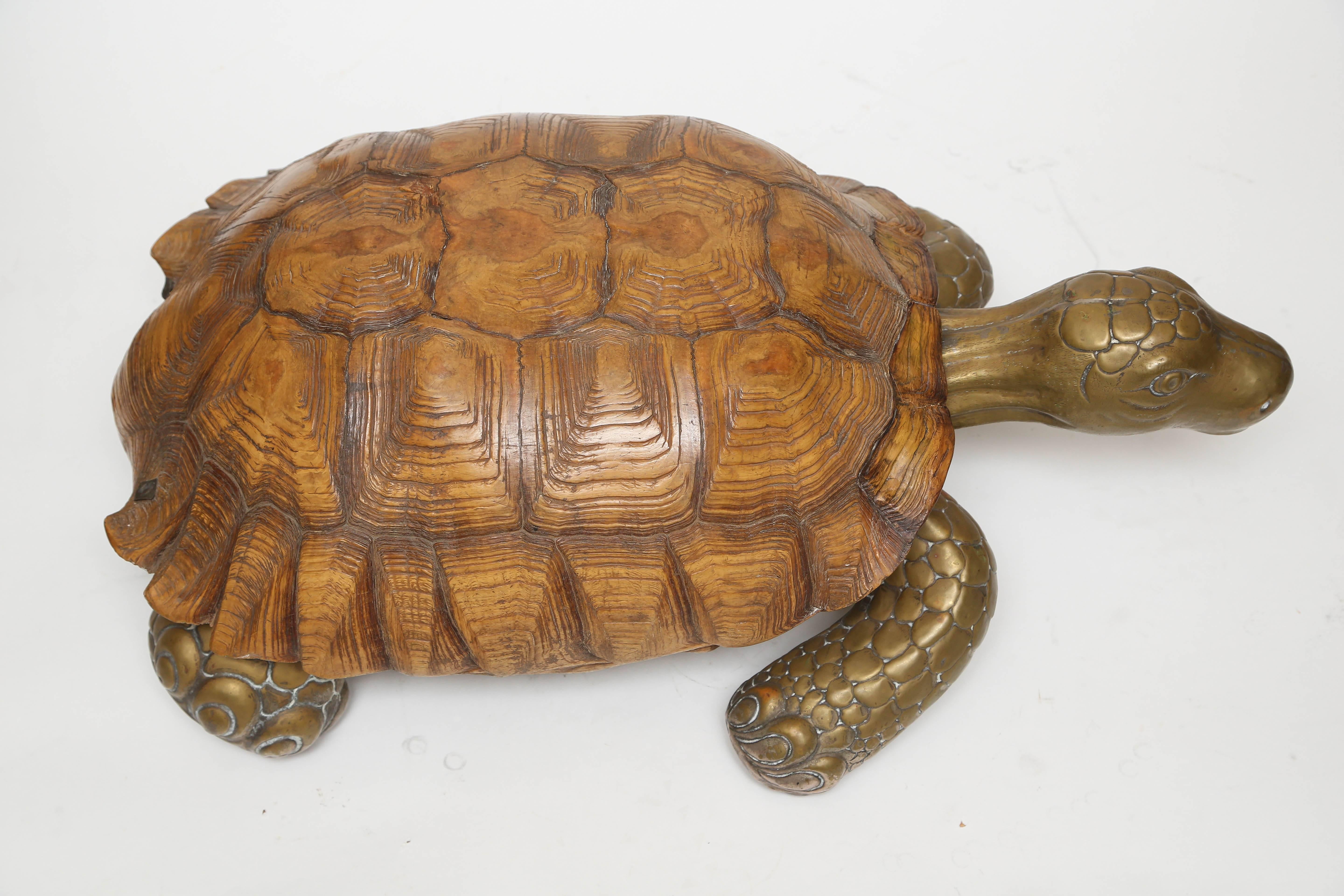 large tortoise for sale