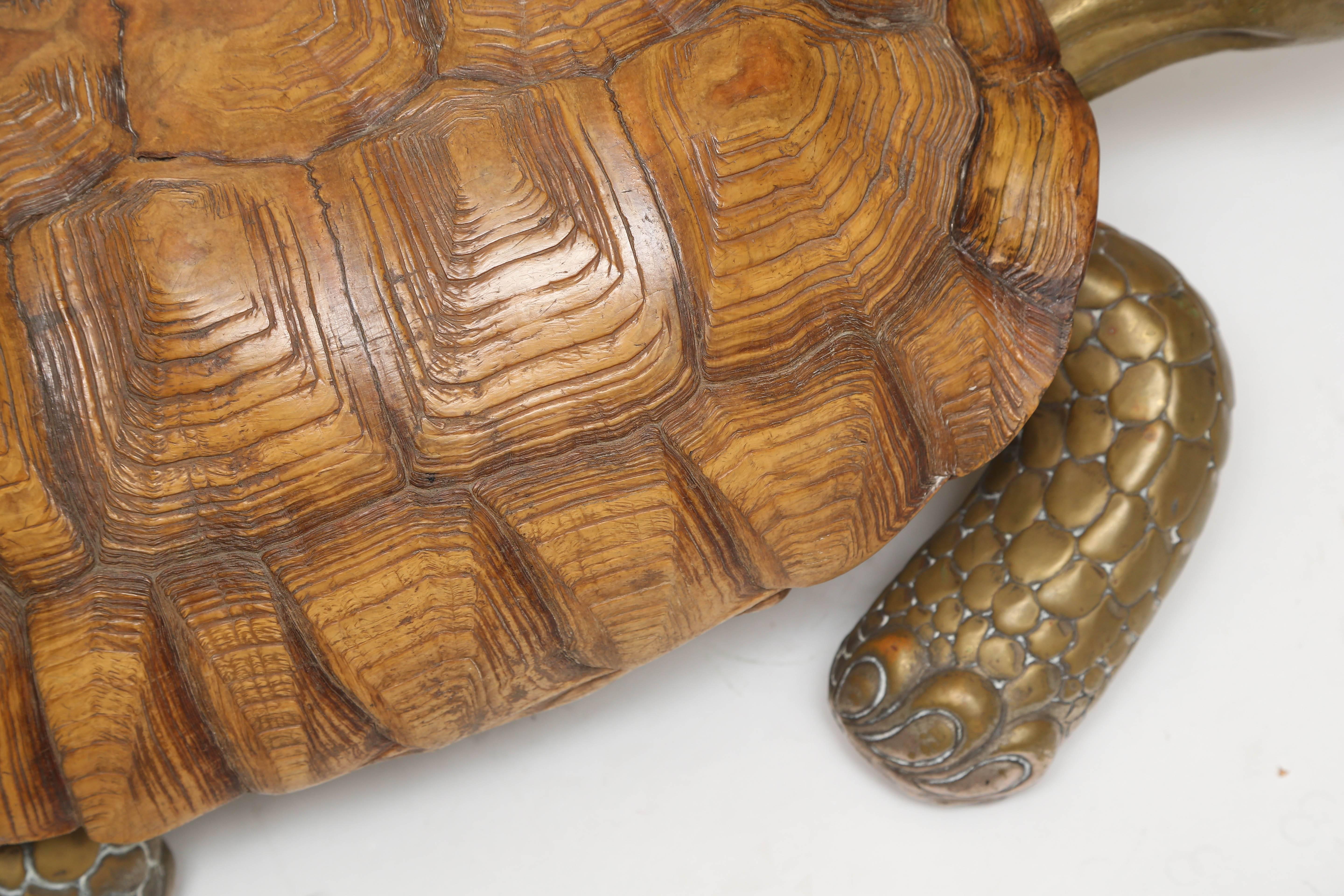 English Large Tortoise Atttributed to Anthony Redmile For Sale