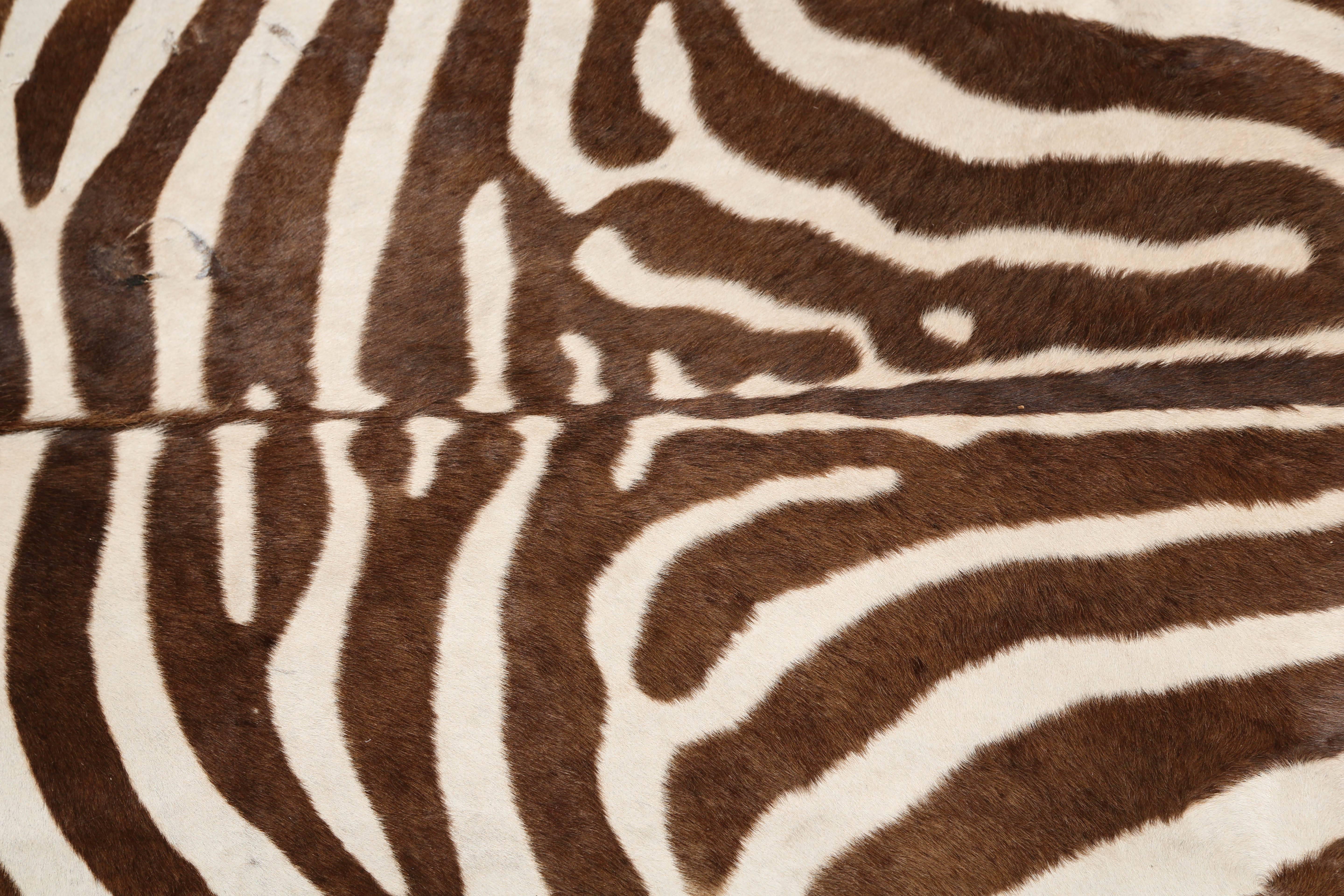 Mid-Century Modern Authentic Zebra Hide Rug, South Africa, 1970