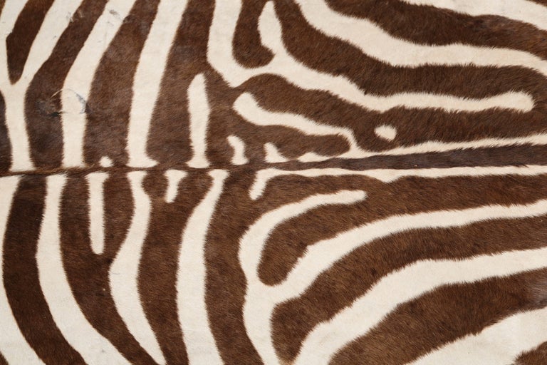 Authentic Zebra Hide Rug, South Africa, 1970 at 1stDibs