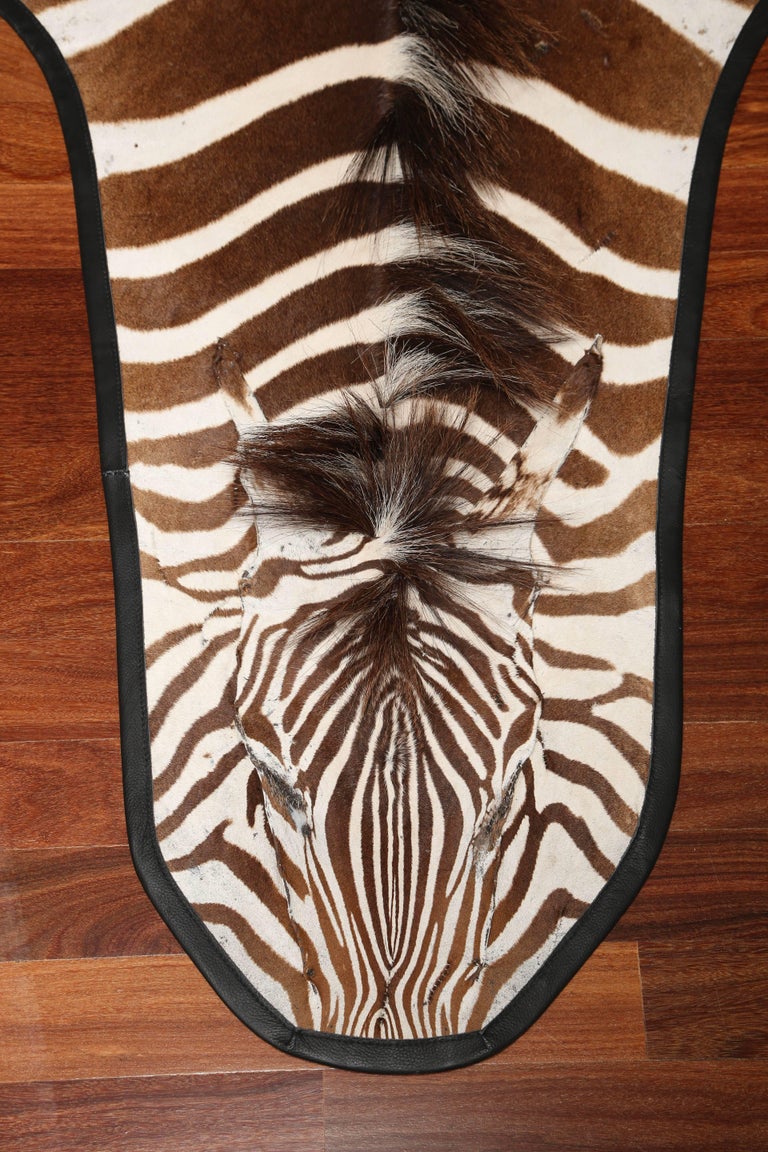 Authentic Zebra Hide Rug, South Africa, 1970 at 1stDibs