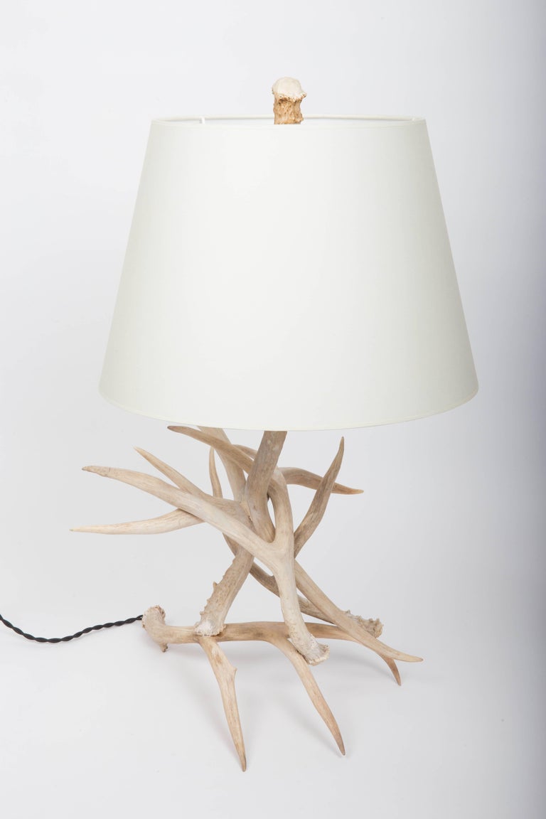 Antler Table Lamp At 1stdibs Antler Table Lamp In Excellent Condition For East Hampton Ny