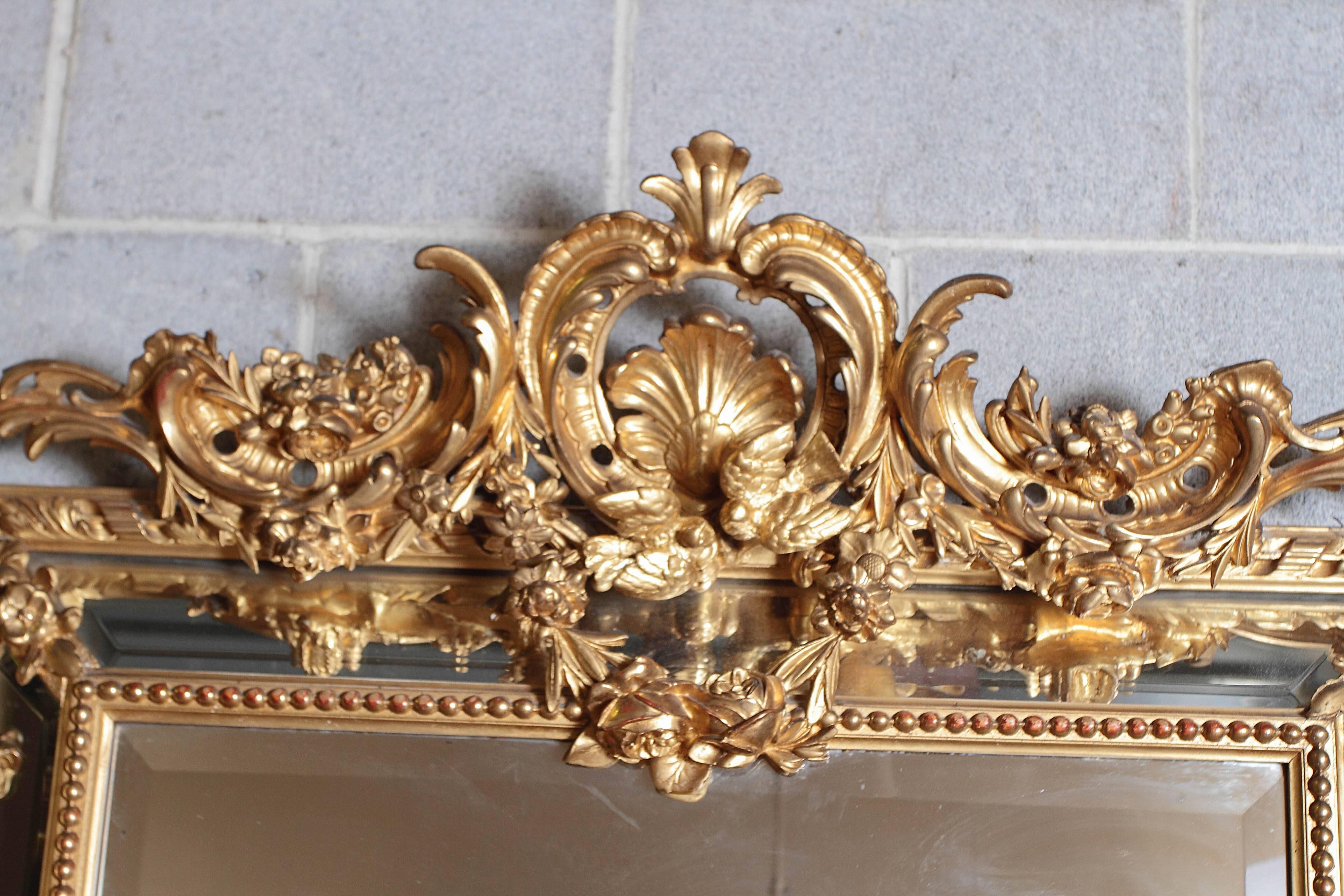 Giltwood 19th Century French Louis XV Gesso and Gilt Carved Mirror