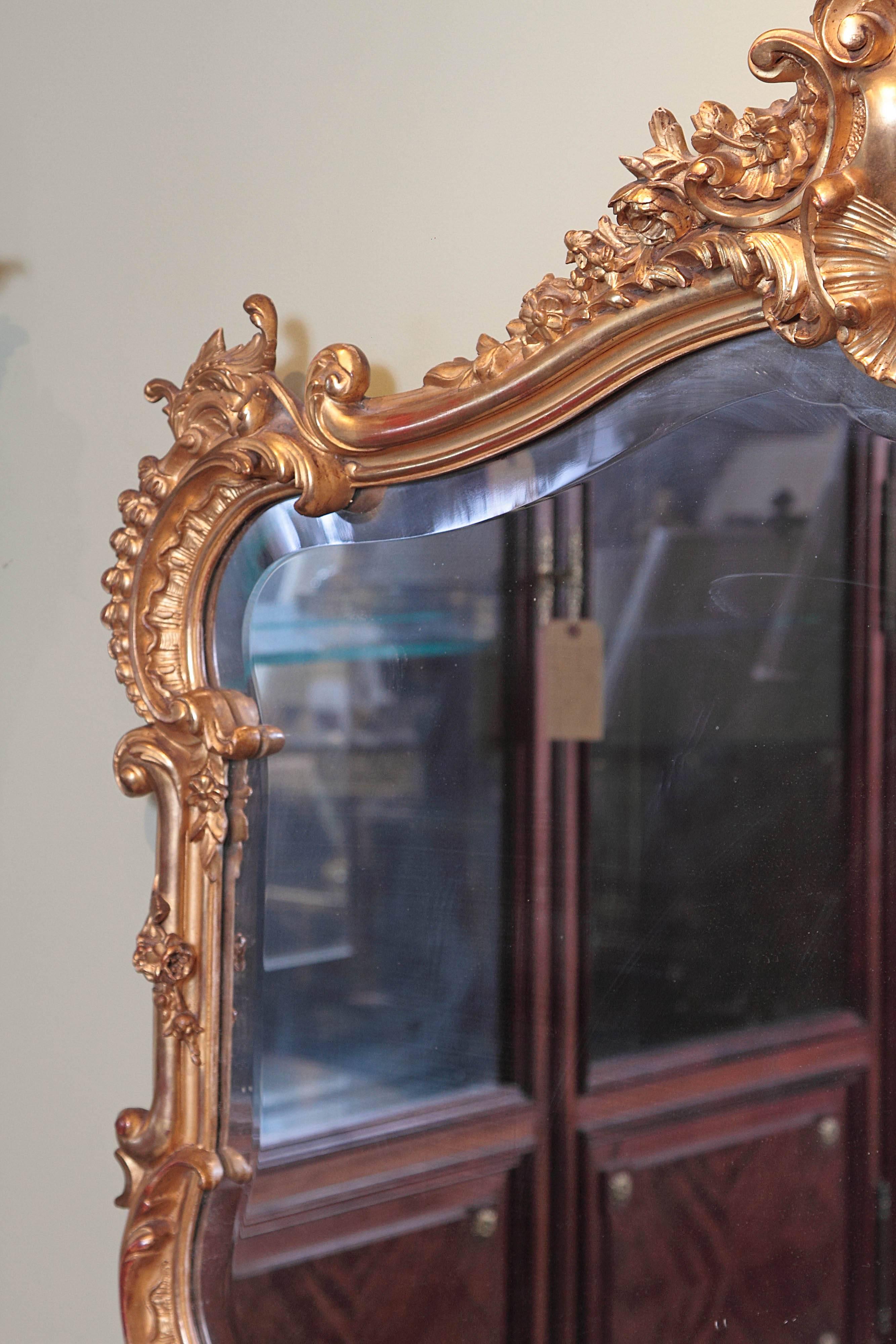 19th Century French Louis XV Carved and Gilt Horizontal Mirror 3
