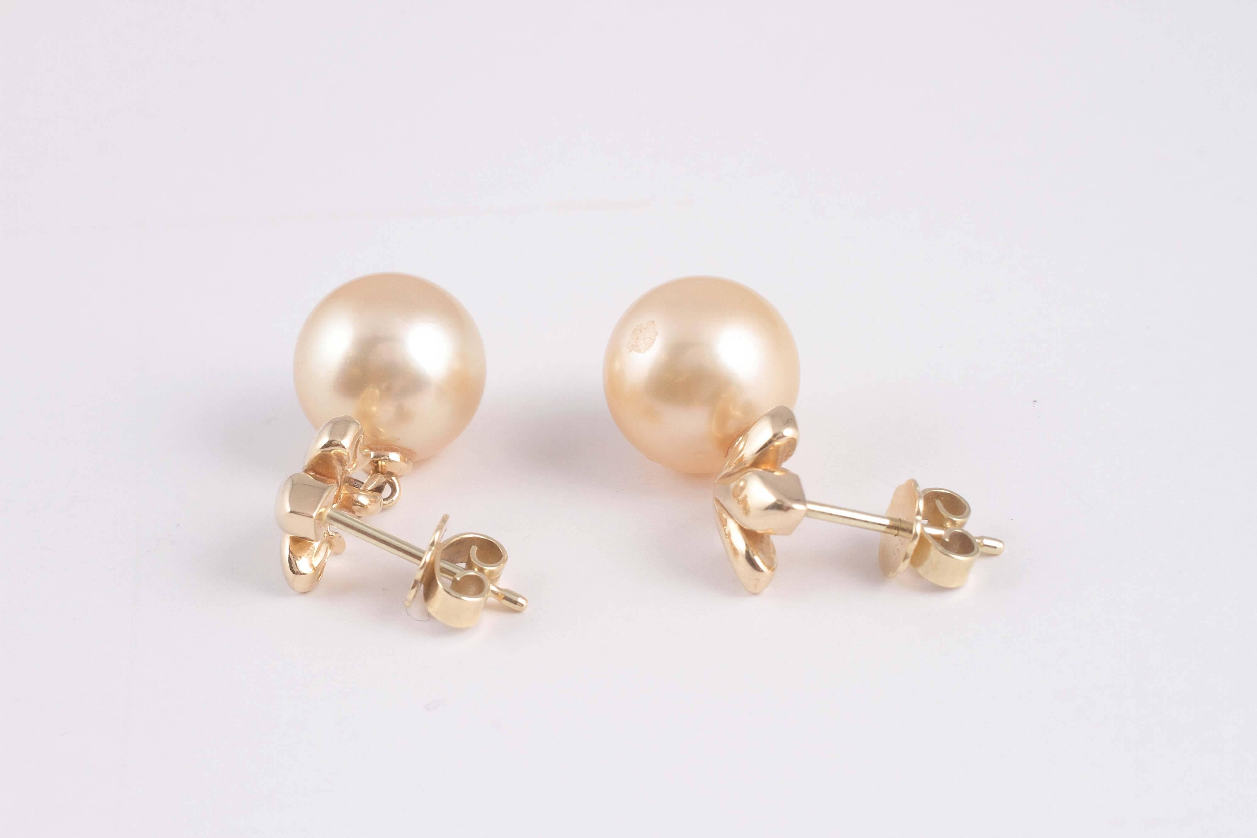 South Sea Pearl Gold Fleur de Lis Earrings 4