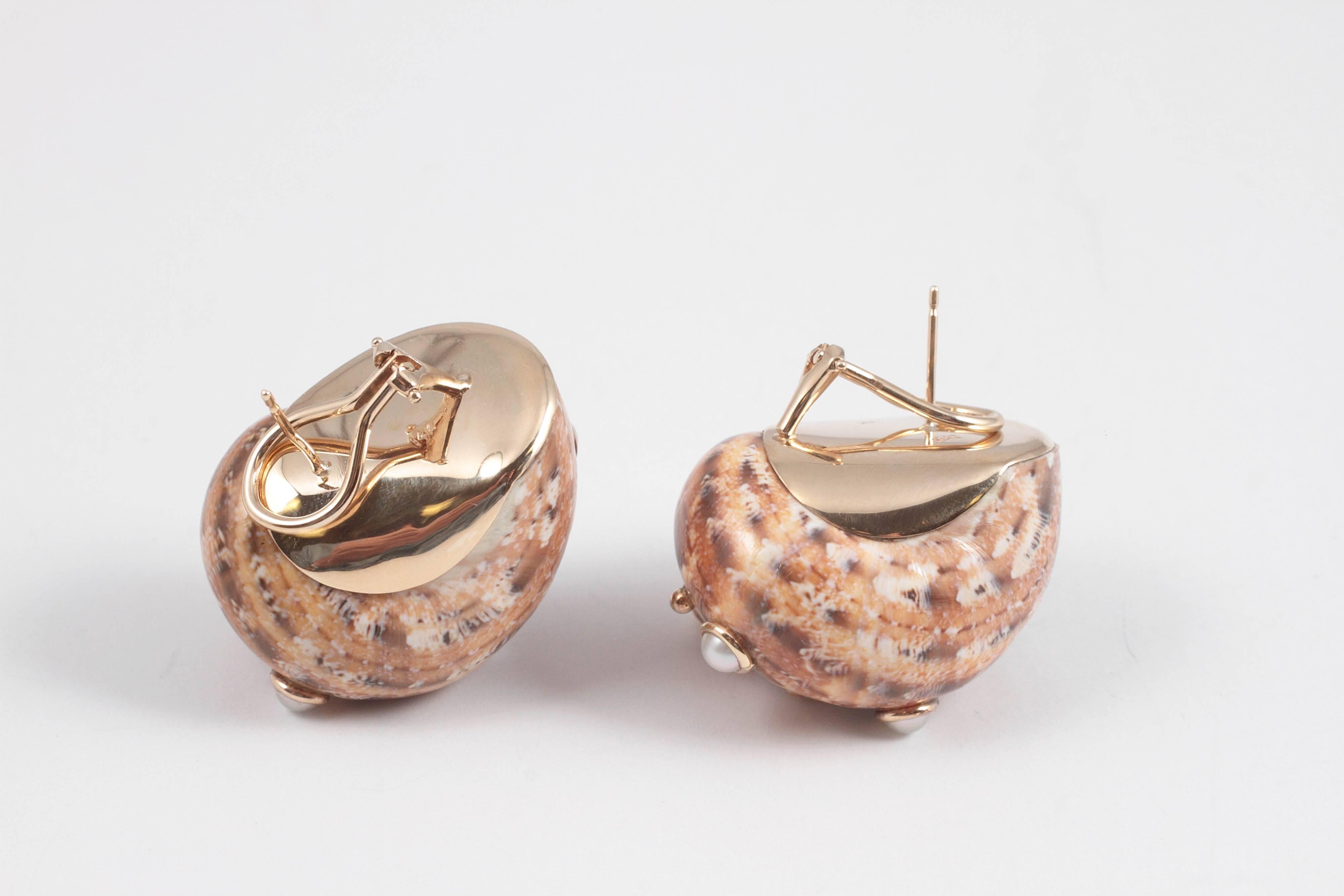 Mazza Pearl Gold Shell Earrings 2