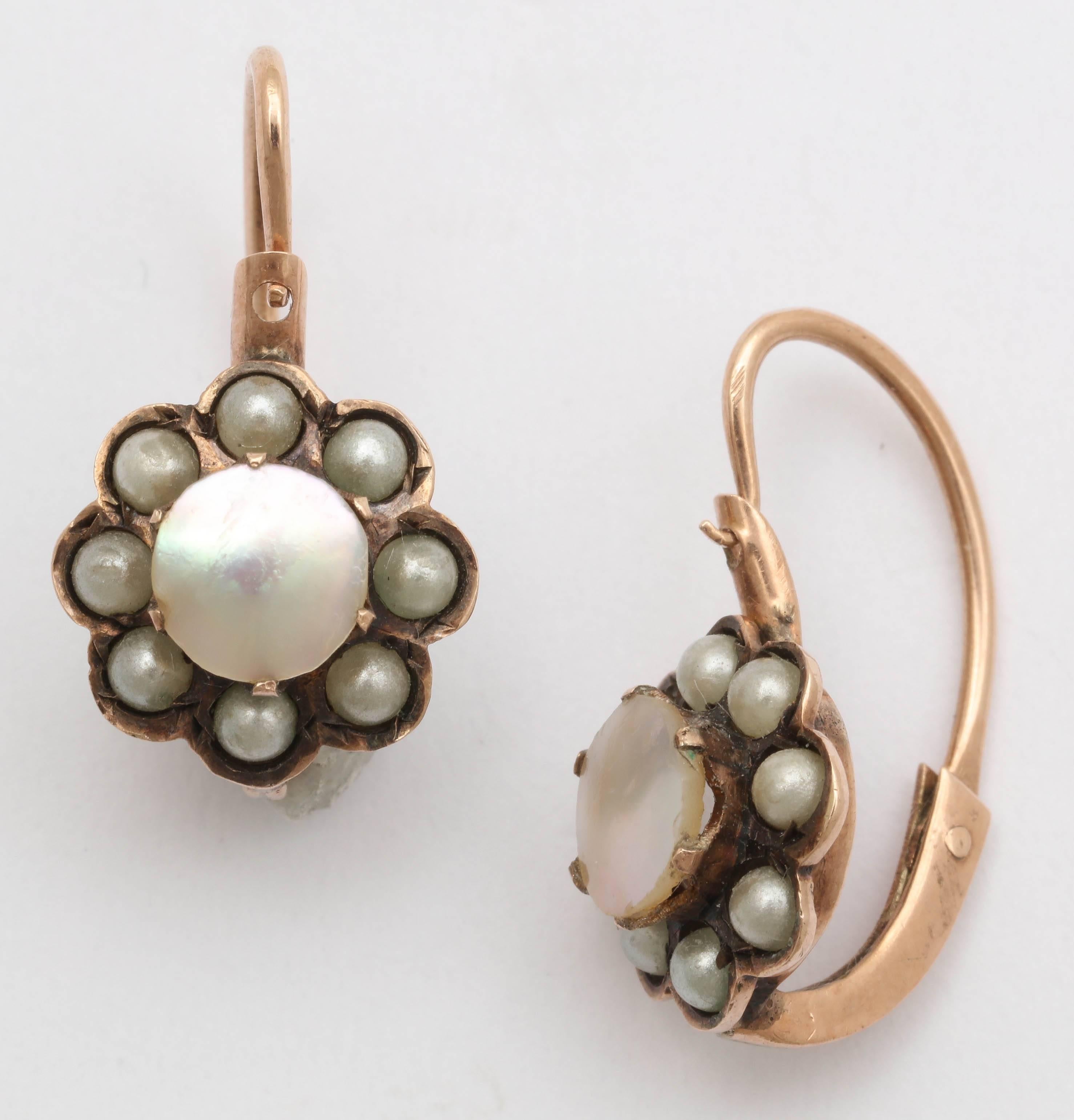 Perfect for everyday, these cluster earrings are14K rose gold with mother of pearl centers surrounded by eight seed pearls. They date to the late Victorian era and are American in origin. 
