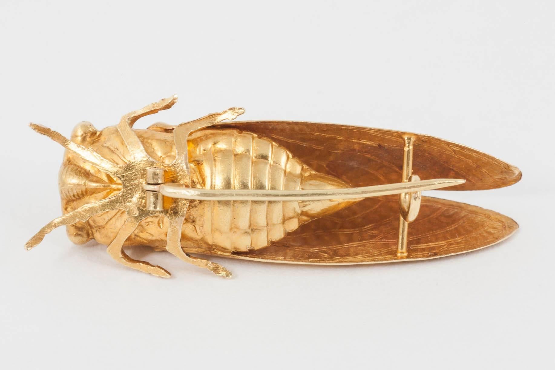 Women's Victorian Gold Cicada Brooch