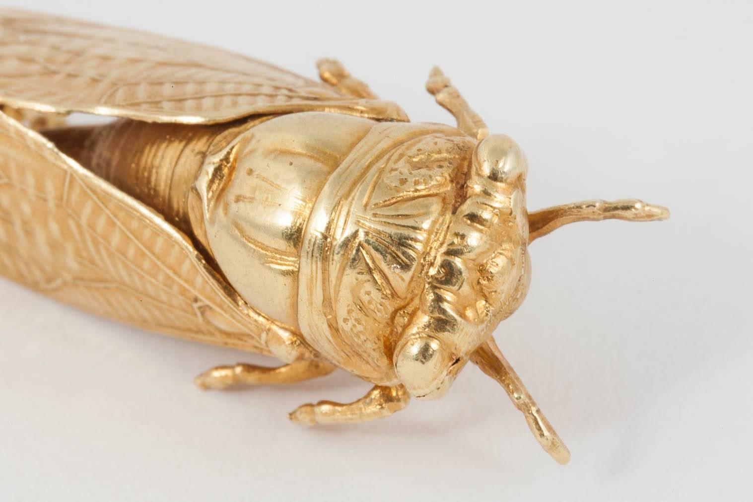 Victorian Gold Cicada Brooch 2