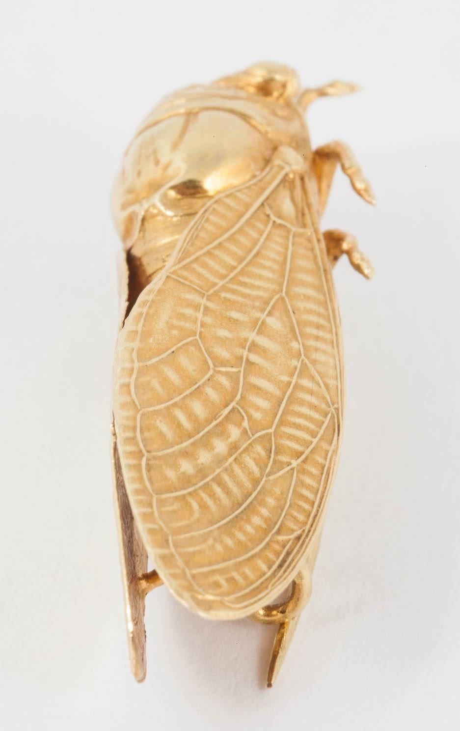 Victorian Gold Cicada Brooch 3