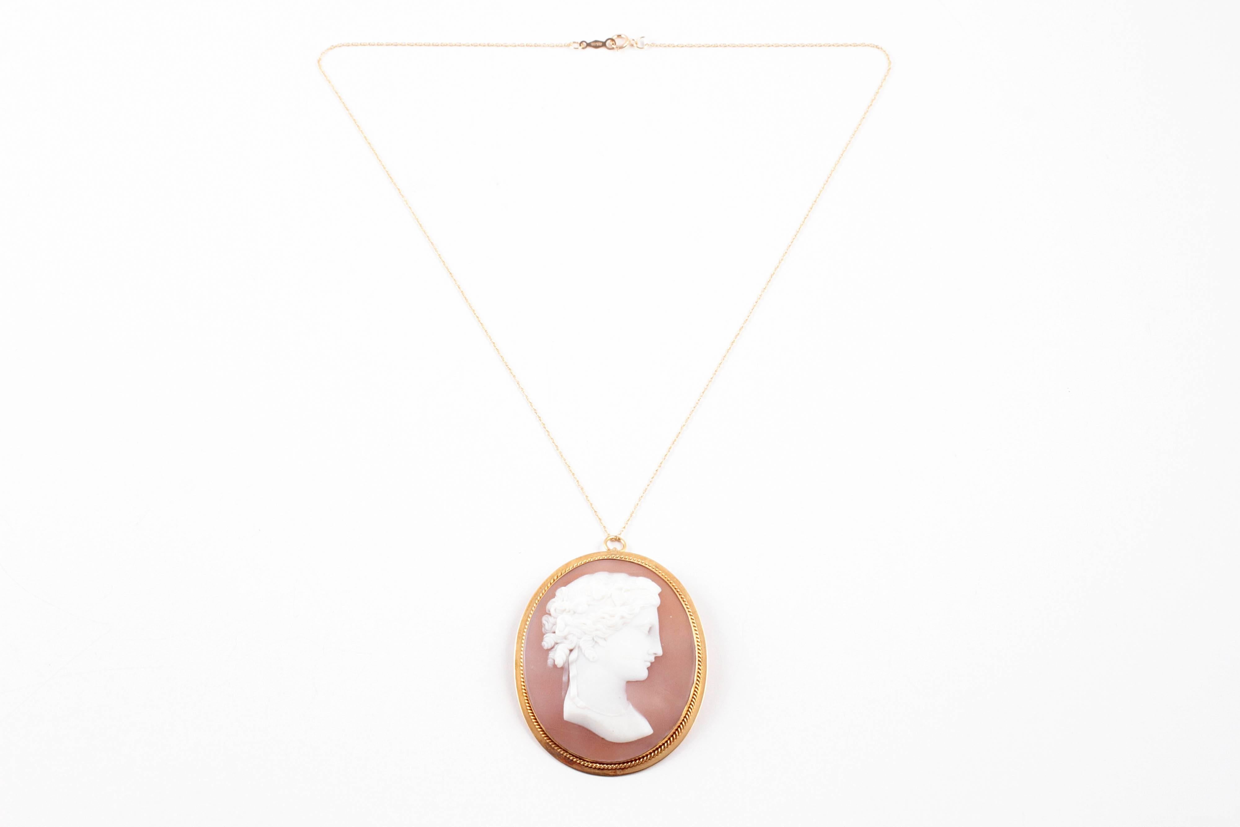 Early Twentieth Century shell cameo in an elegant gold frame.  The cameo is suspended on a yellow gold filled 18 inch chain and can also be worn as a brooch.