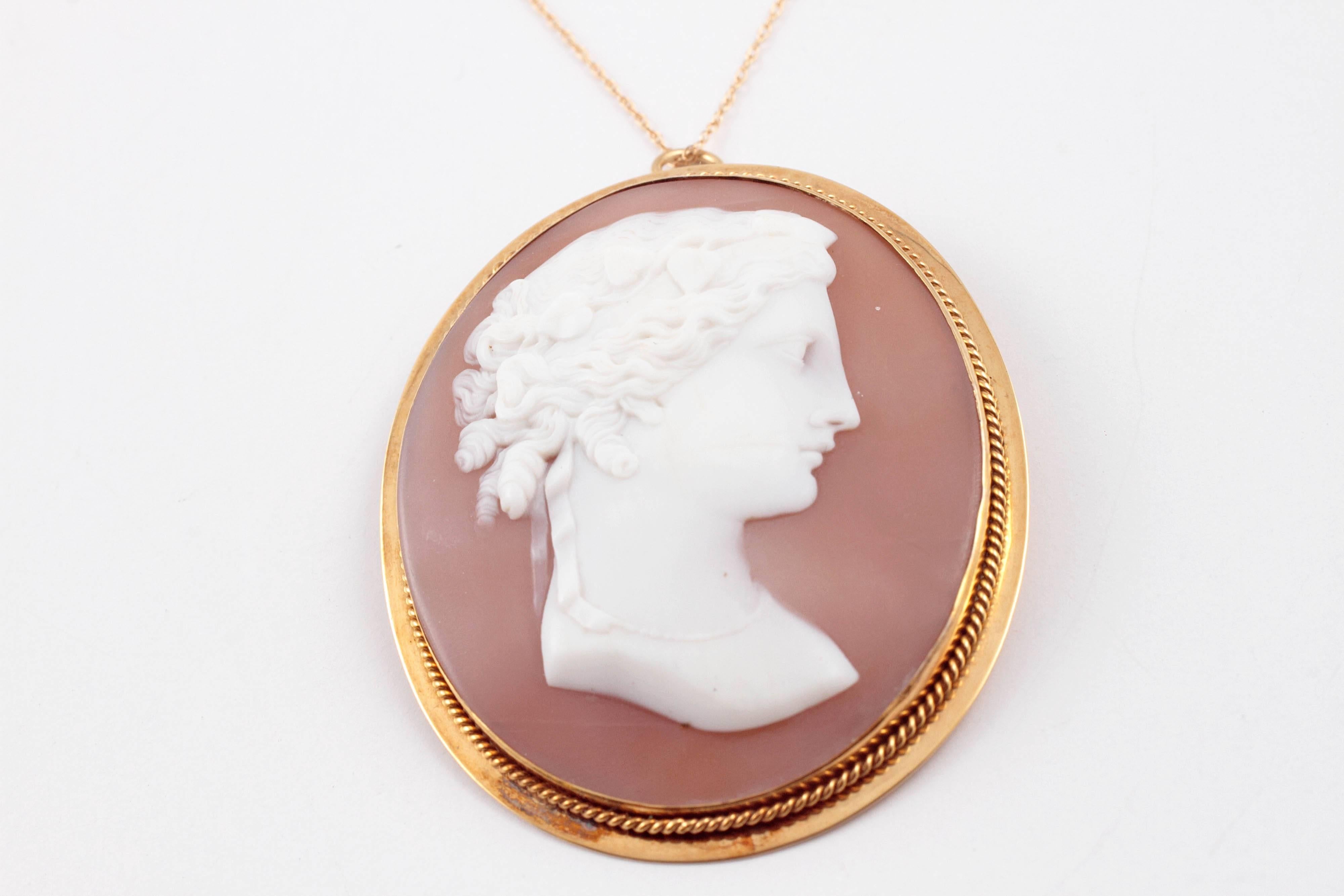 Large Shell Cameo Brooch Pendant on Yellow Gold Filled Chain For Sale 1