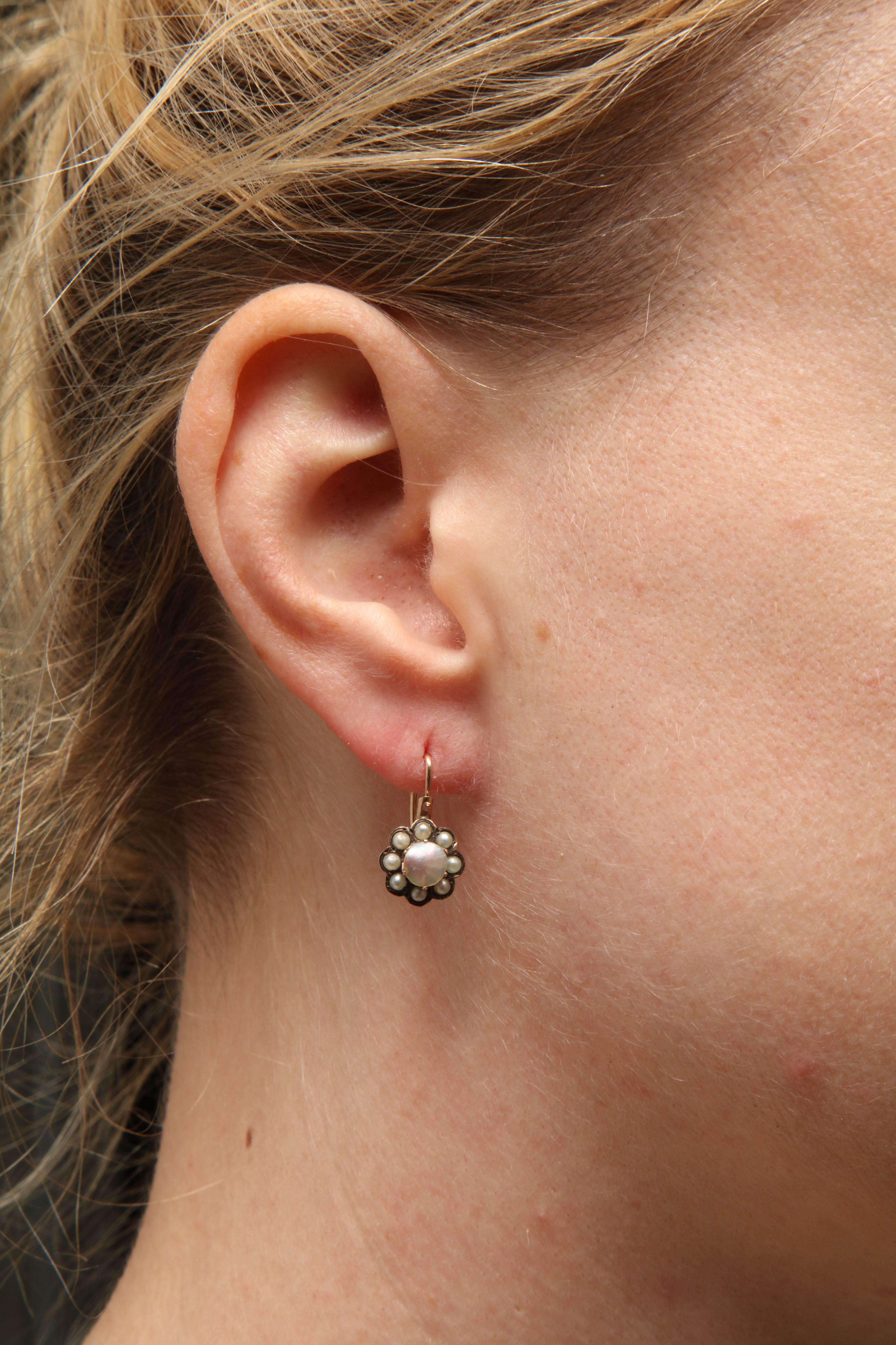 Women's Rose Gold and Pearl Cluster Earrings