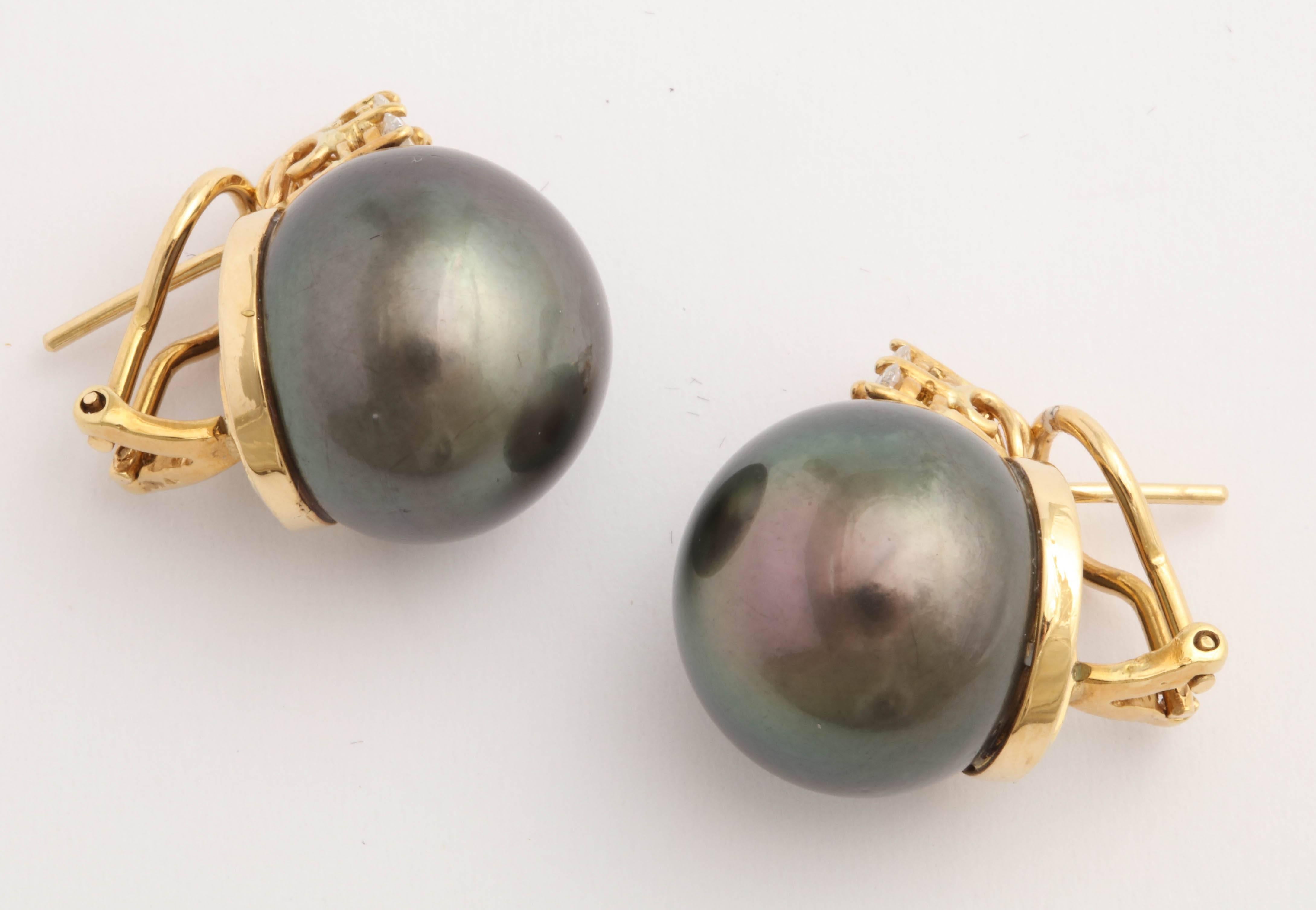 Contemporary South Sea Cultured Pearl Diamond Yellow Gold Clip-On Earrings