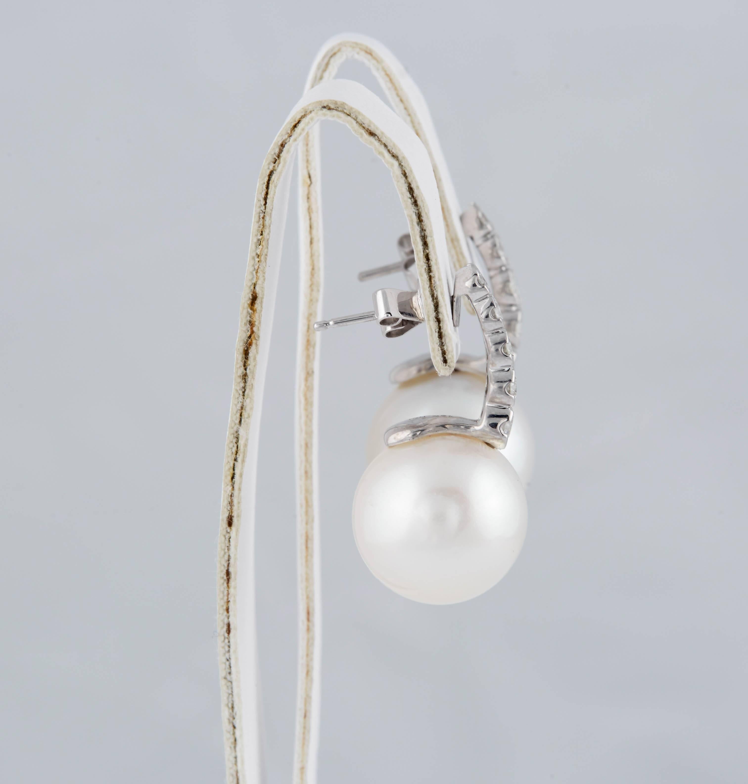 South Sea Pearl Diamond Drop Gold Earrings 2