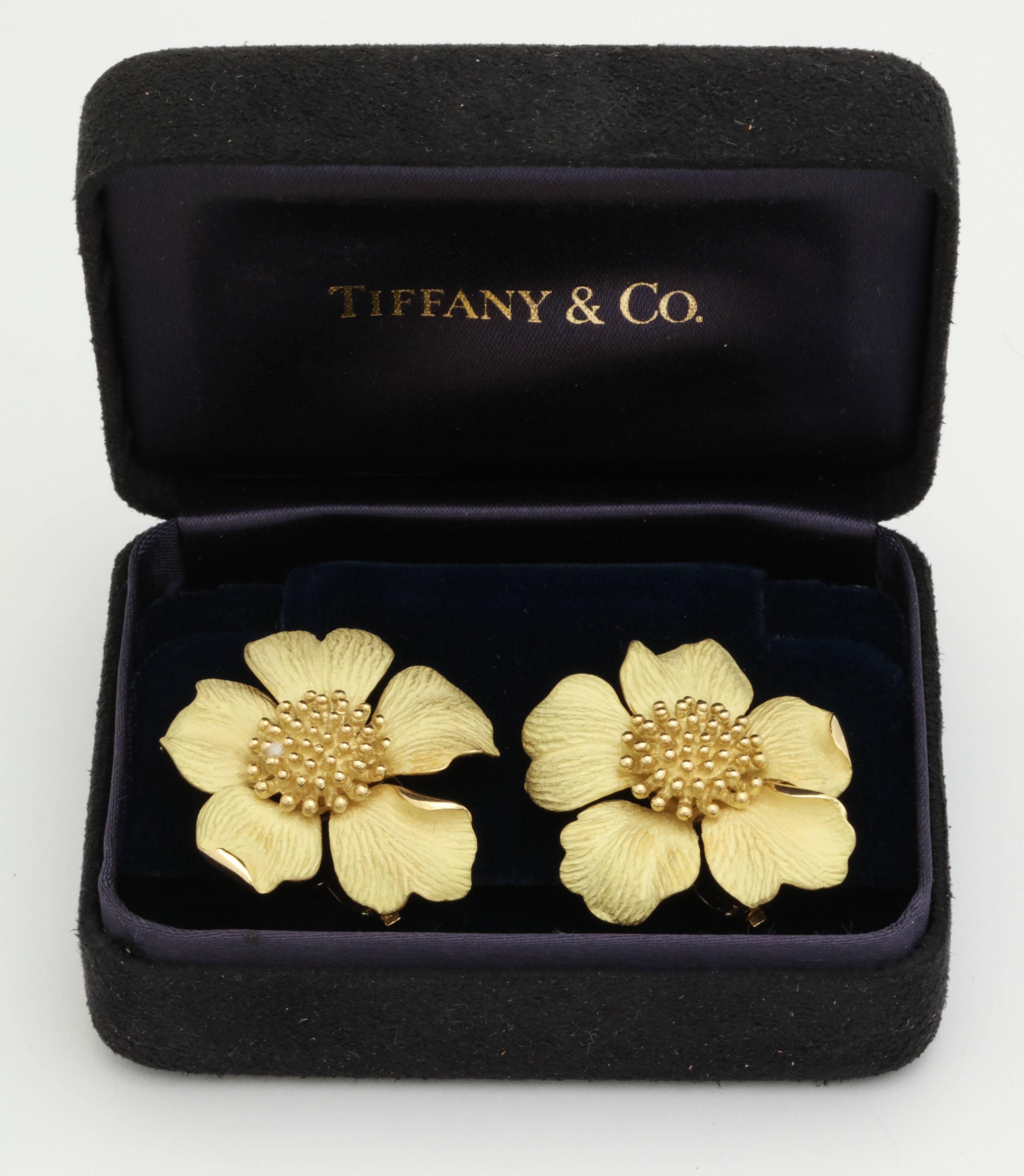 One Pair Of Ladies 18kt Silky Mate Finish Gold Earrings In The Form Of A Cherry Blossom Figural Flower. Very Realistic Formed Flowers With Pistil Centers In 18kt High Polish Gold. Further Designed With 18kt Yellow Gold High Quality Fancy Clip On