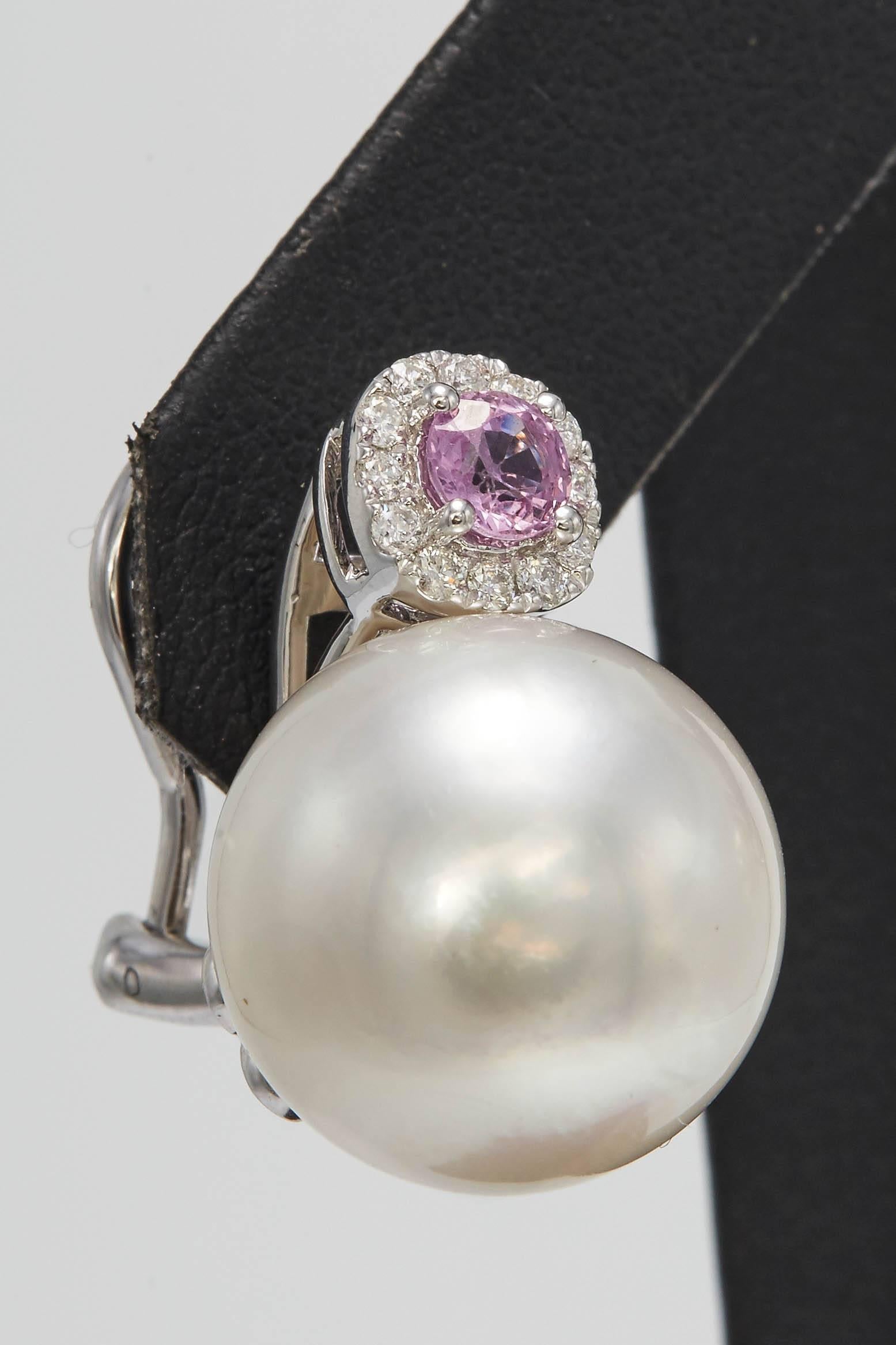 Contemporary South Sea Pearl and Pink Sapphire and Diamond Drop Earrings For Sale