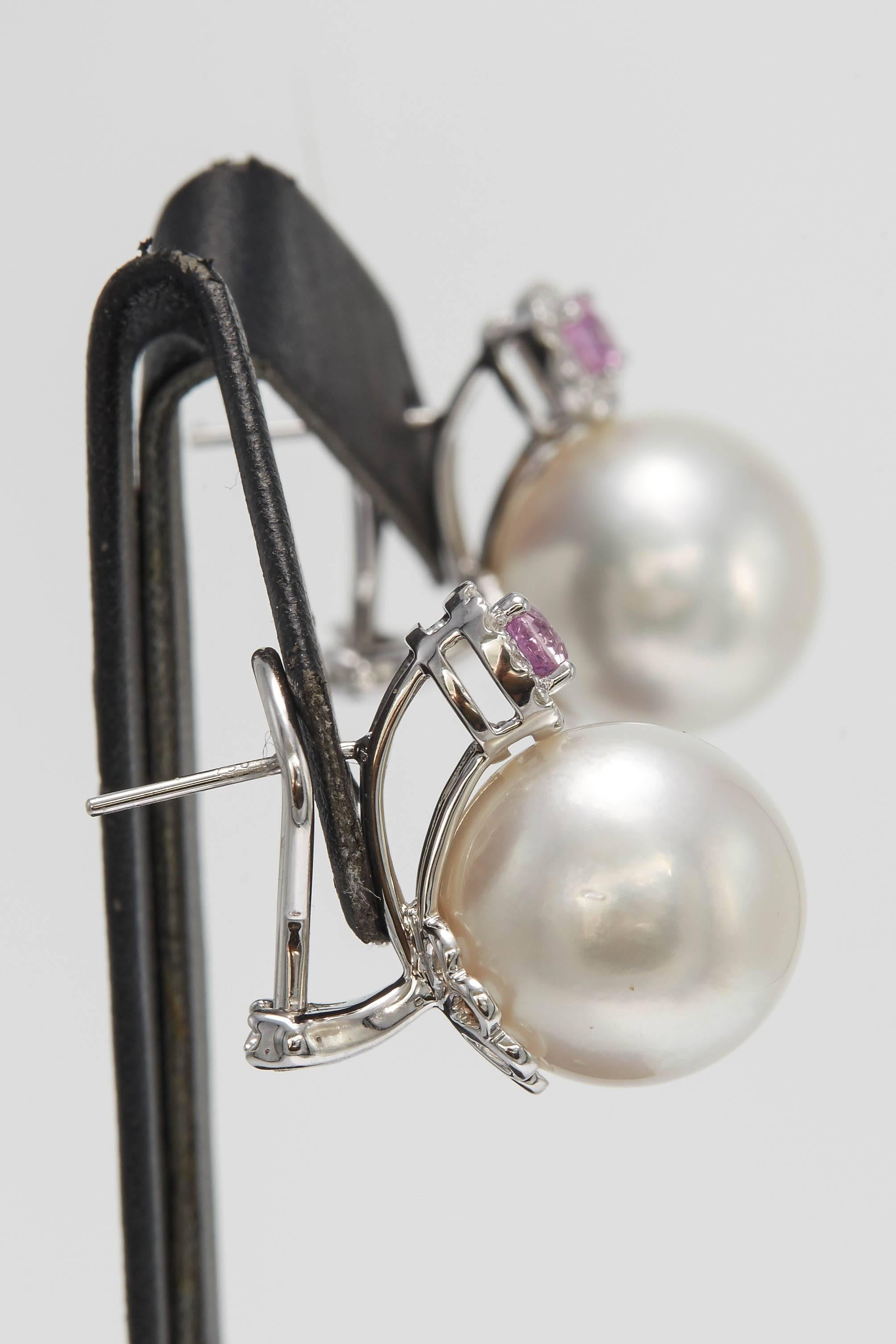 Round Cut South Sea Pearl and Pink Sapphire and Diamond Drop Earrings For Sale
