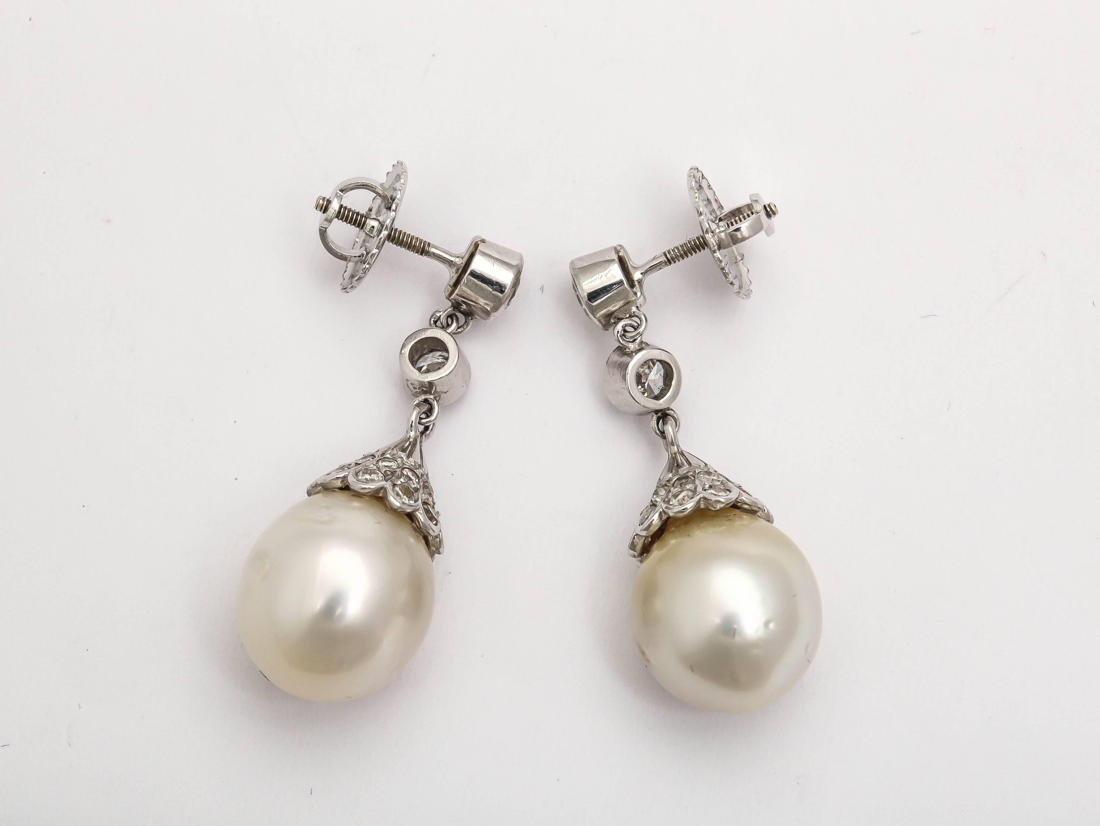 Ultra rich Bulbous South Sea Pear Diamond Capped Drops suspended from Bezel set Diamond Caps.  Set in Platinum. Inspired by Vermeer Pearl Earrings.
So classic.