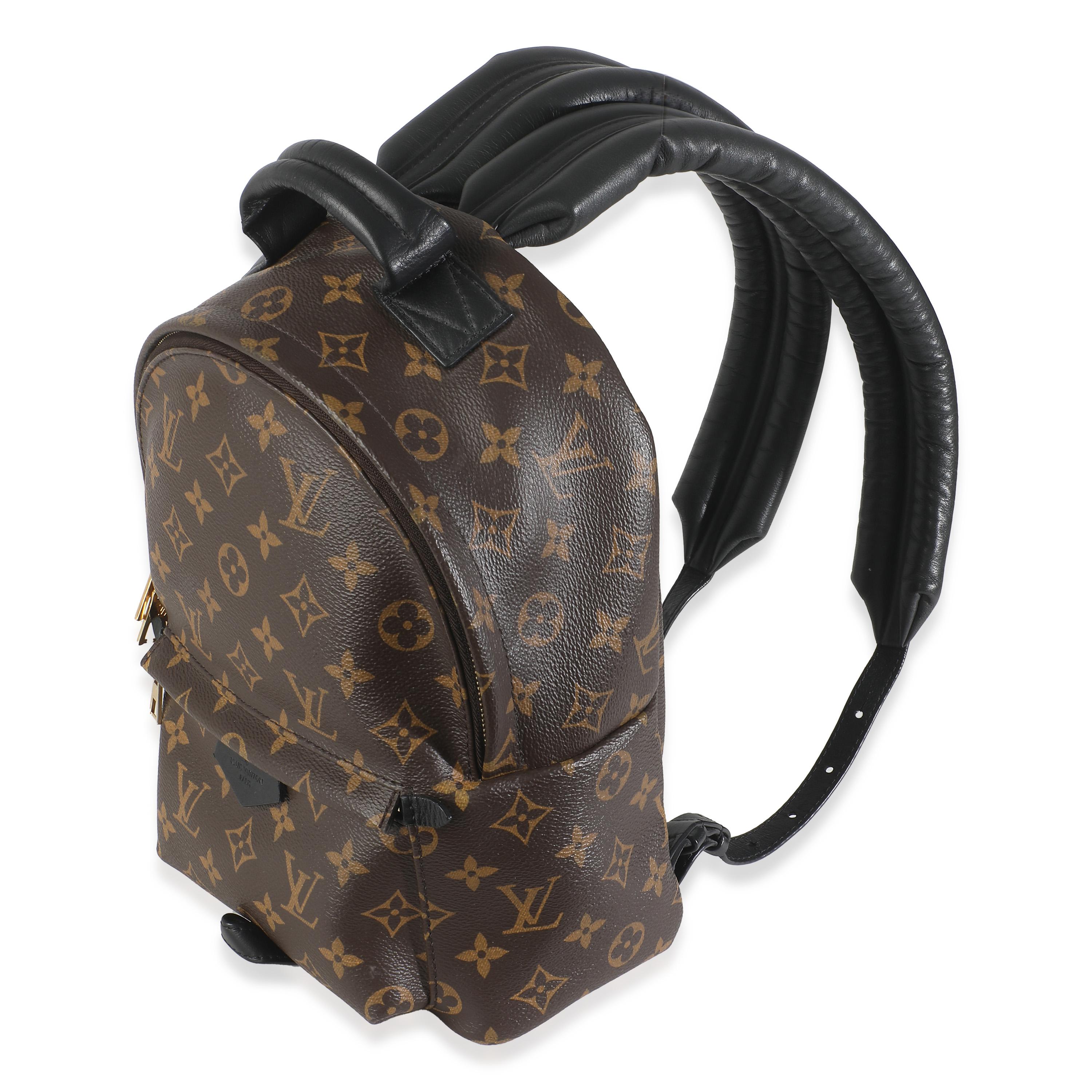 Louis Vuitton Monogram Canvas Palm Springs PM In Excellent Condition For Sale In New York, NY
