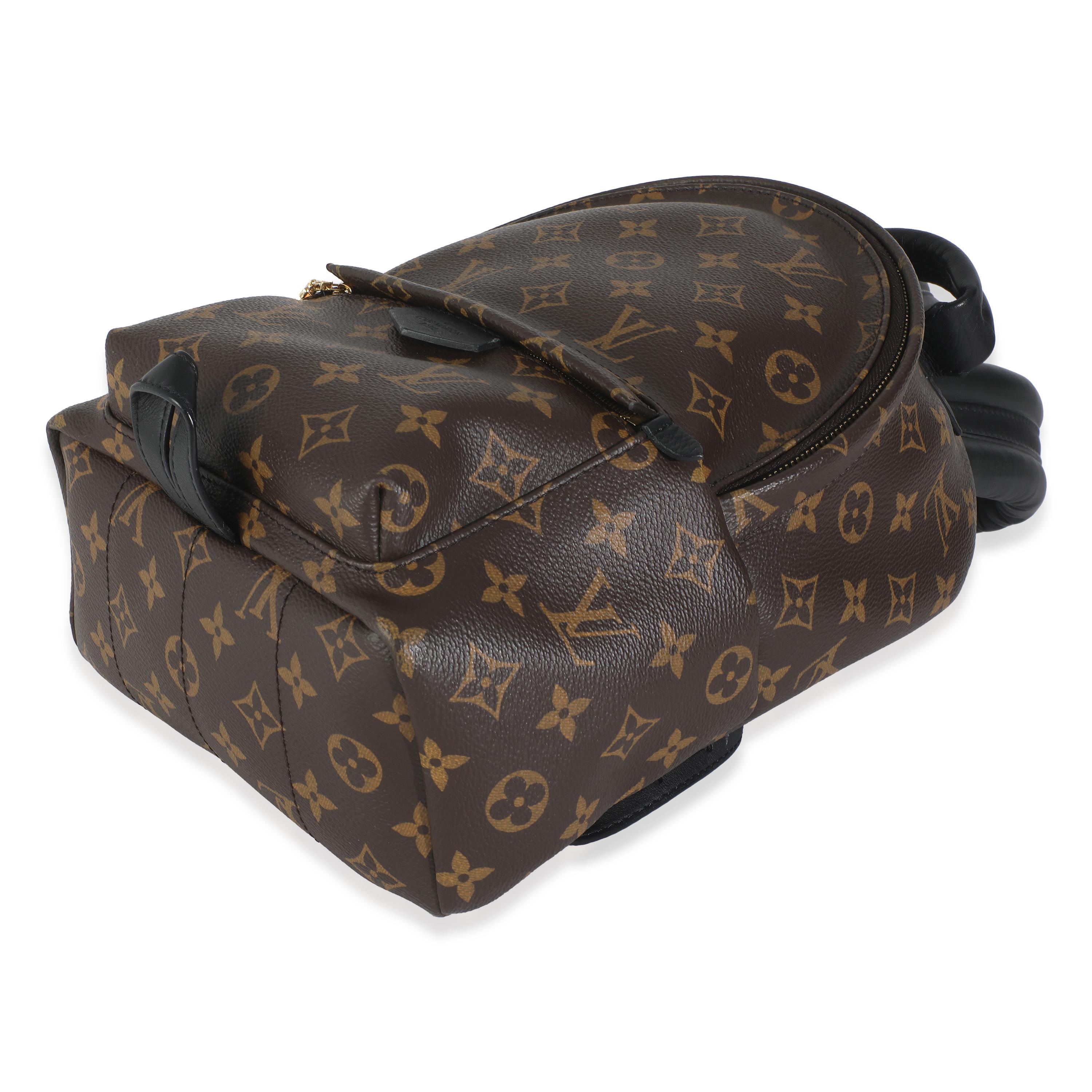 Women's or Men's Louis Vuitton Monogram Canvas Palm Springs PM For Sale