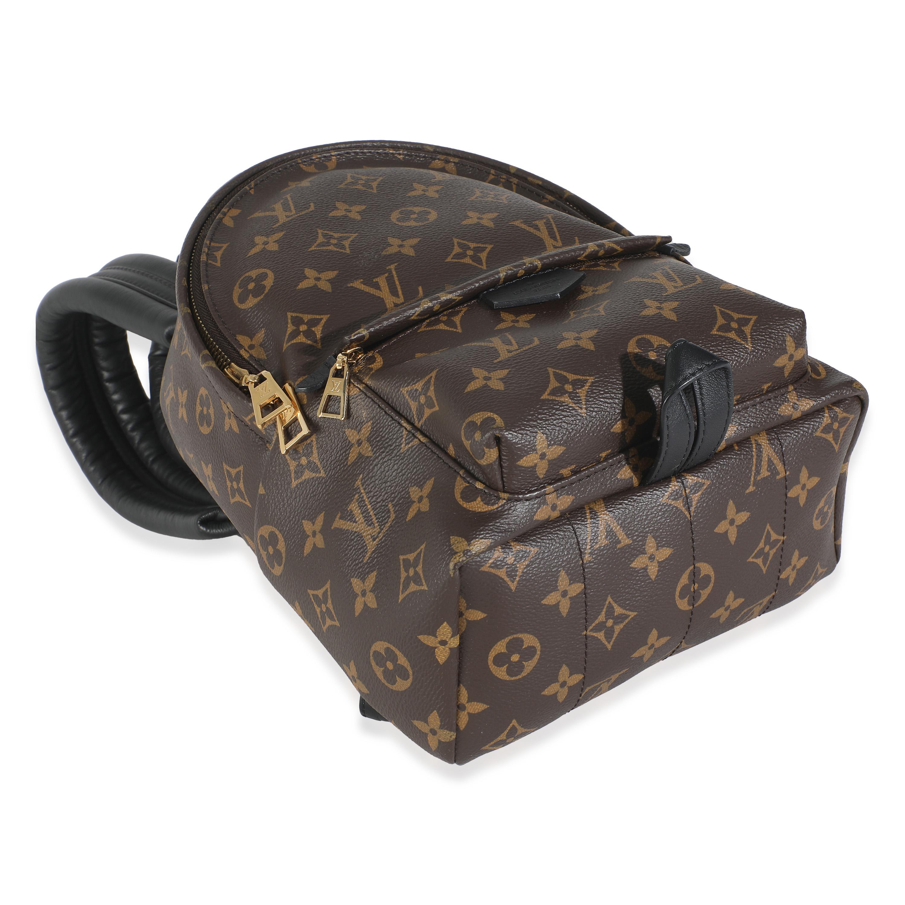 Louis Vuitton Monogram Canvas Palm Springs PM For Sale 2