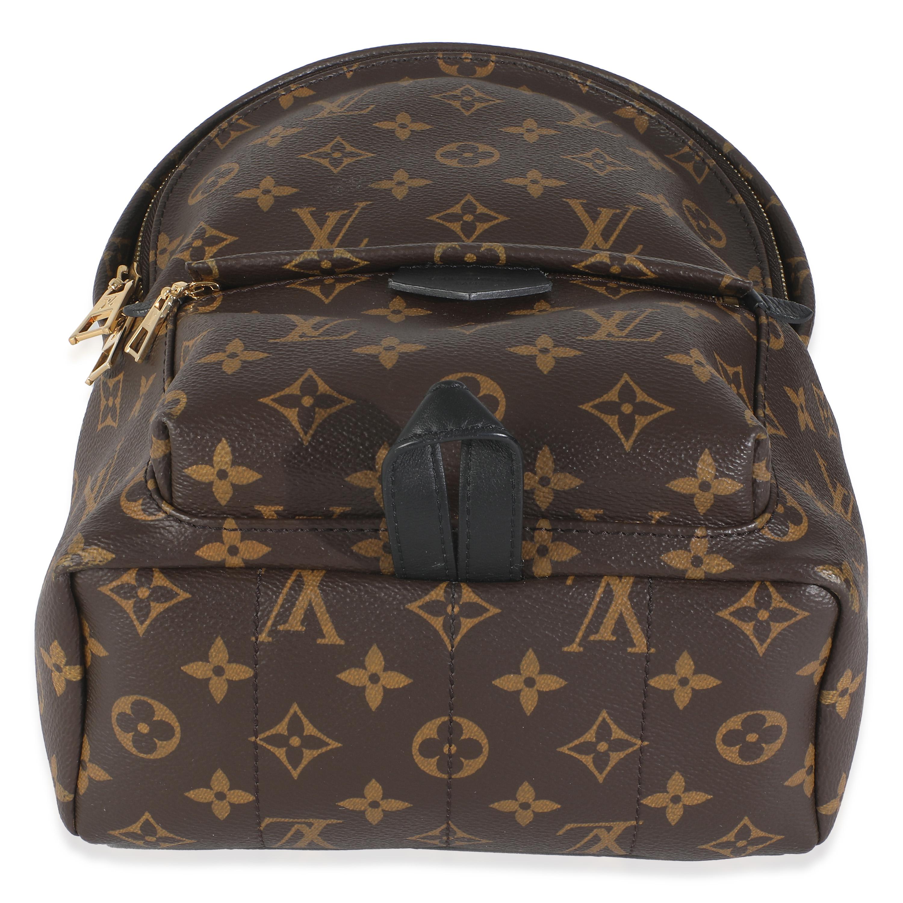 Louis Vuitton Monogram Canvas Palm Springs PM For Sale 3