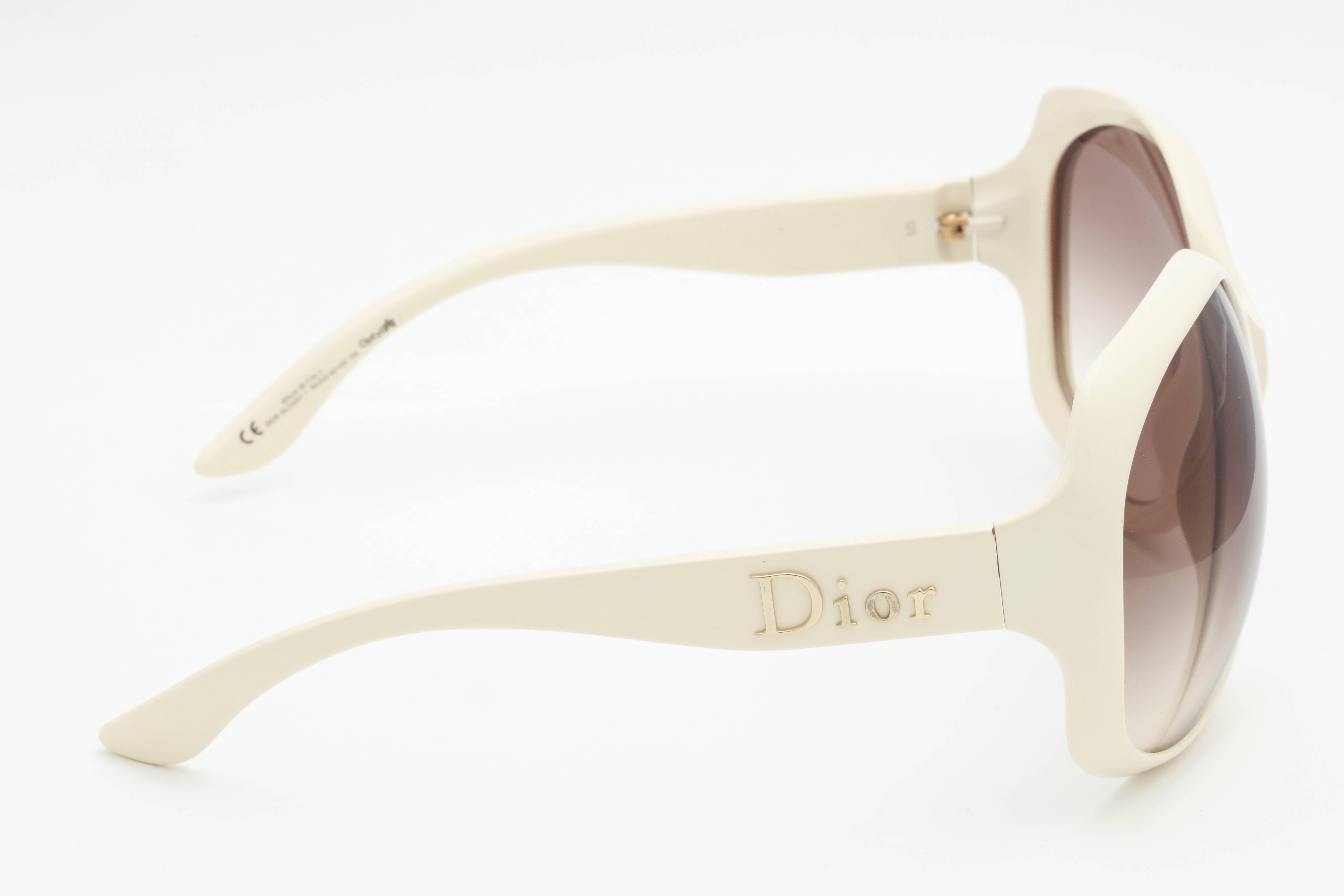 Large Dior Logo Sunglasses  For Sale 2