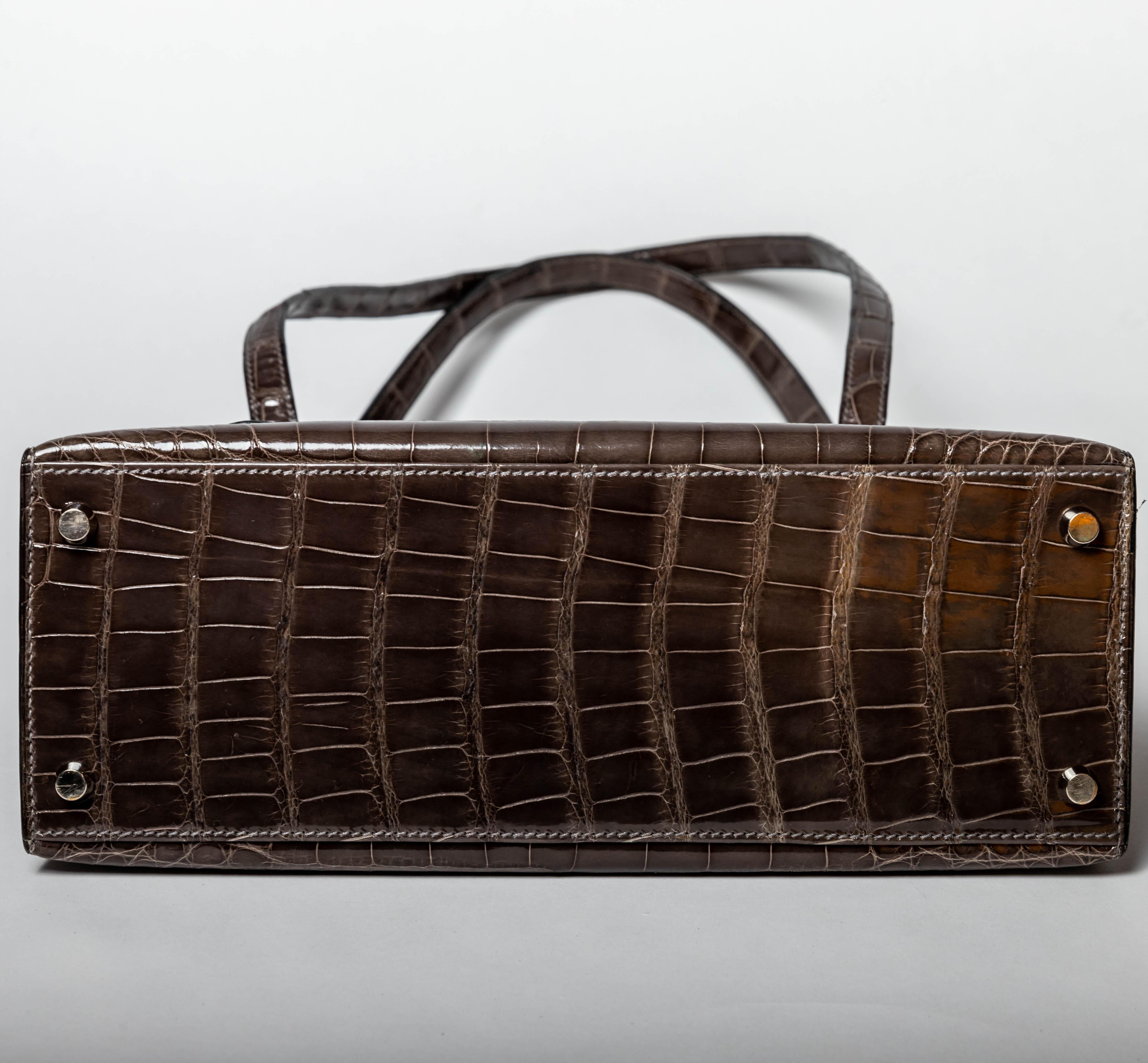 Hermes Lyn Alligator Handbag with Palladium Hardware 1