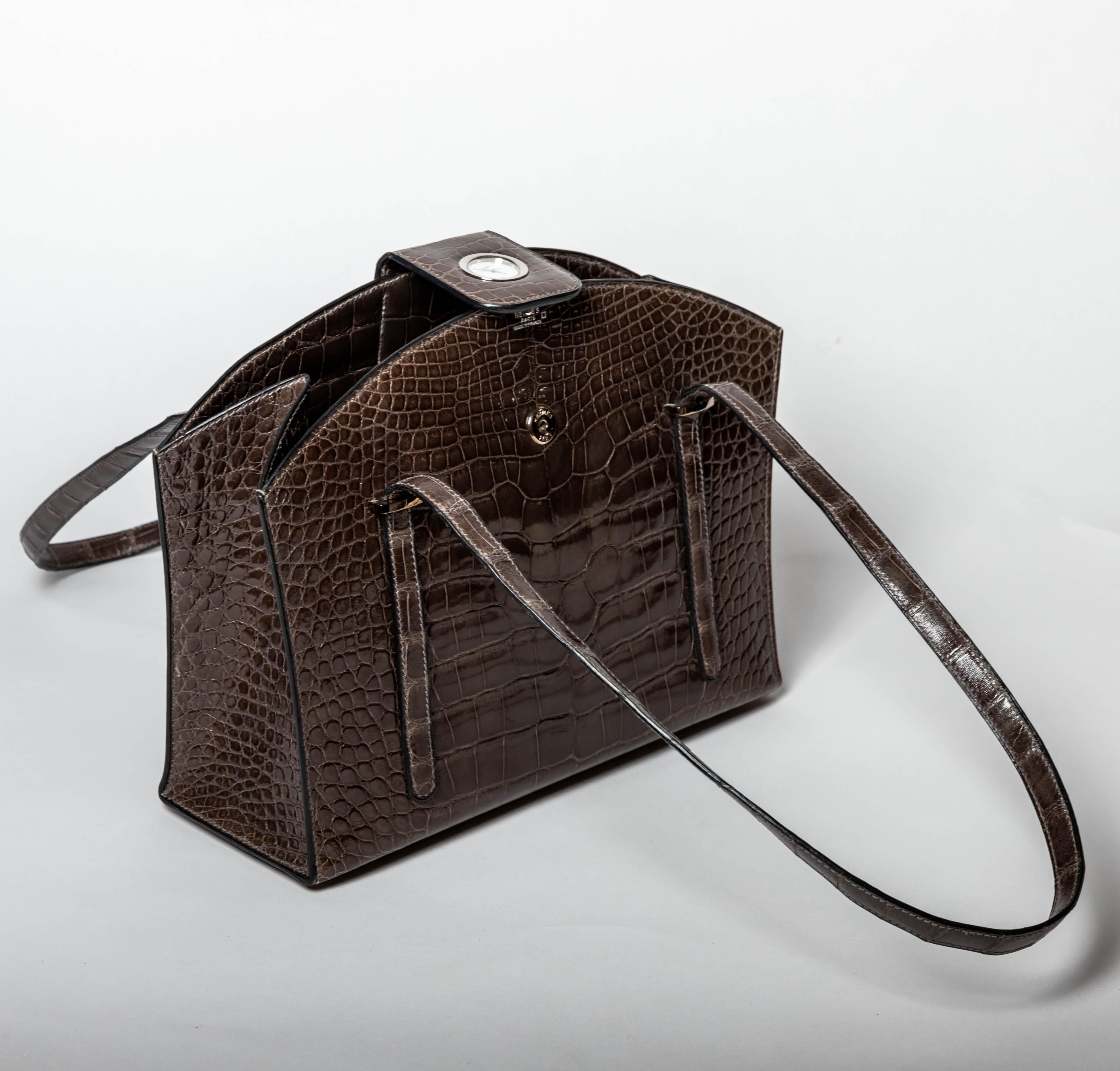 Hermes Lyn Alligator Handbag with Palladium Hardware 4