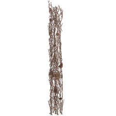 "Reed" by Richard Filipowski