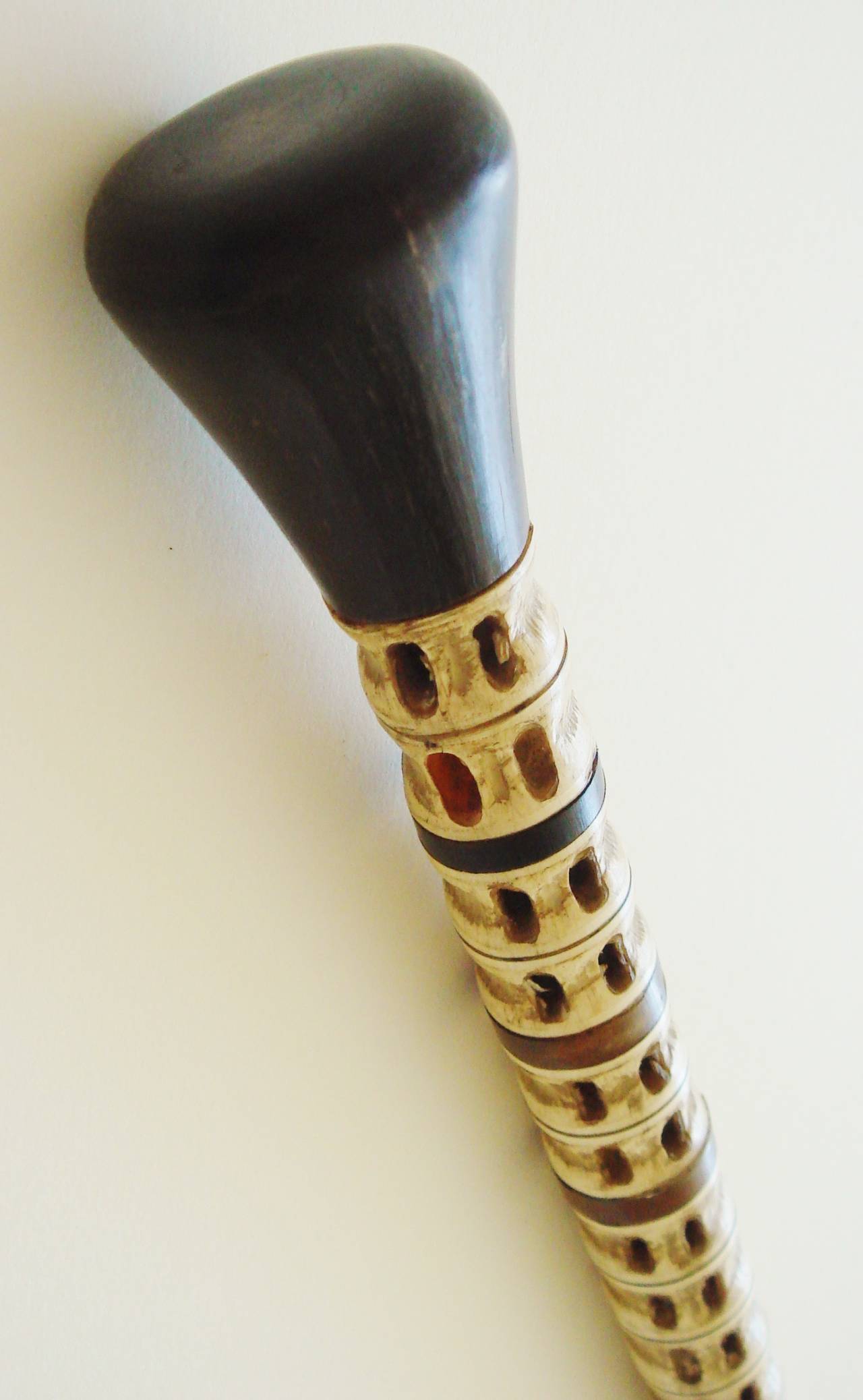 shark bone walking stick