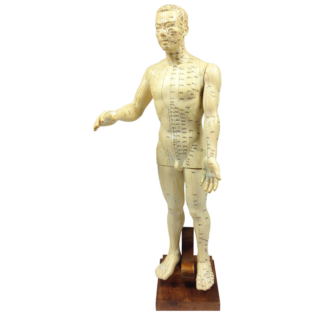 Mid 20th Century Japanese Acupuncture Doll at 1stDibs acupuncture