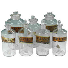 Antique Collection of 7 Victorian Era Apothecary / Chemist Bottles with Labels circa 1880