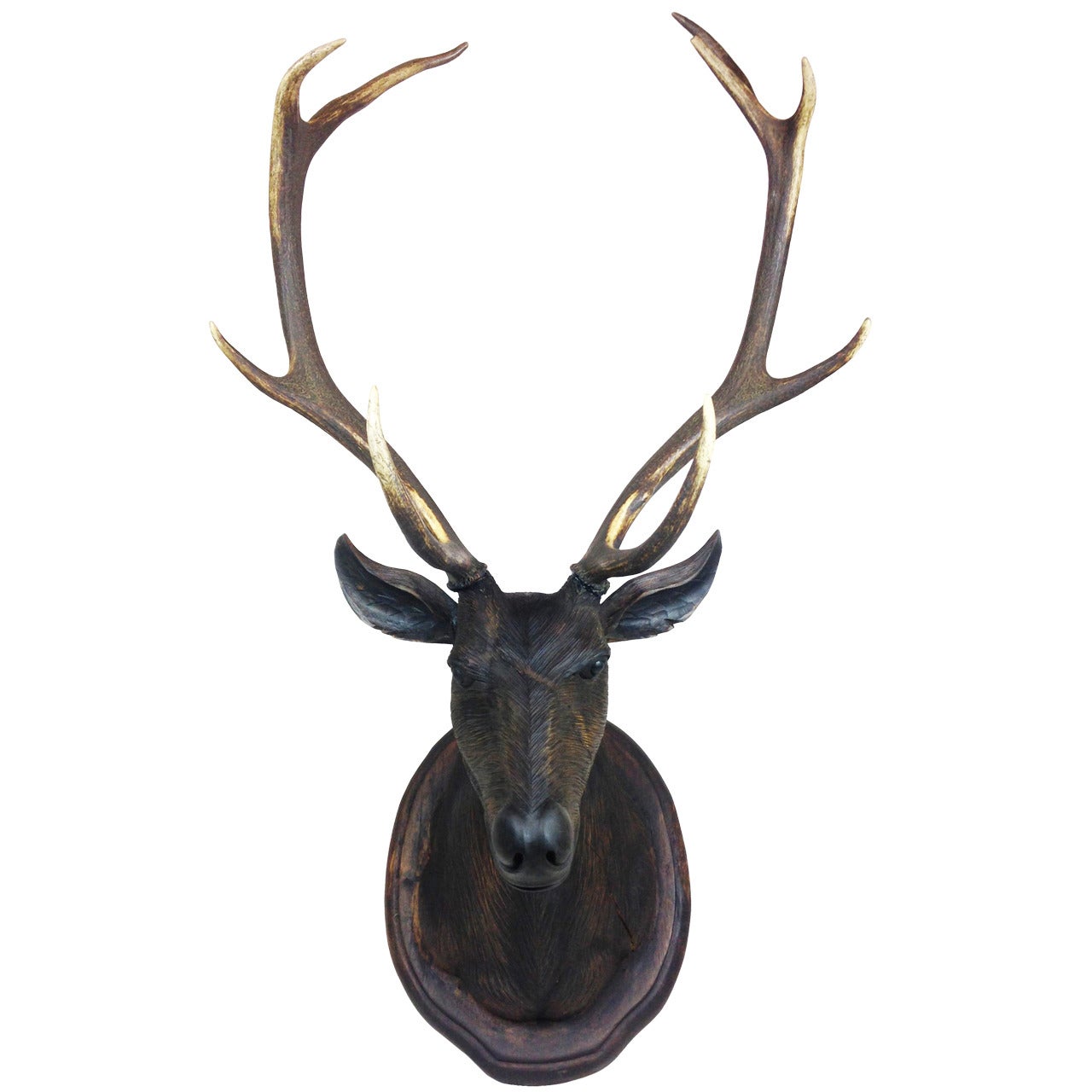 Full-Sized Black Forest Style Stag Head with Antlers