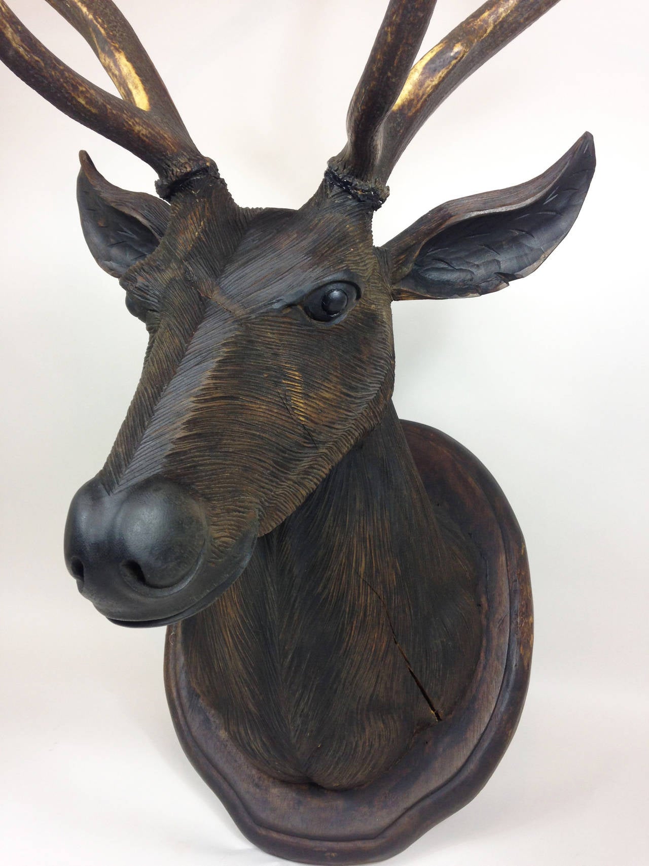 A wonderful full-sized mounted stag head with natural antlers.

Carved in the Black Forest style from what appears to be a single piece of wood and mounted on a later shield.

A stable age related tension crack to the left hand side of the mount
